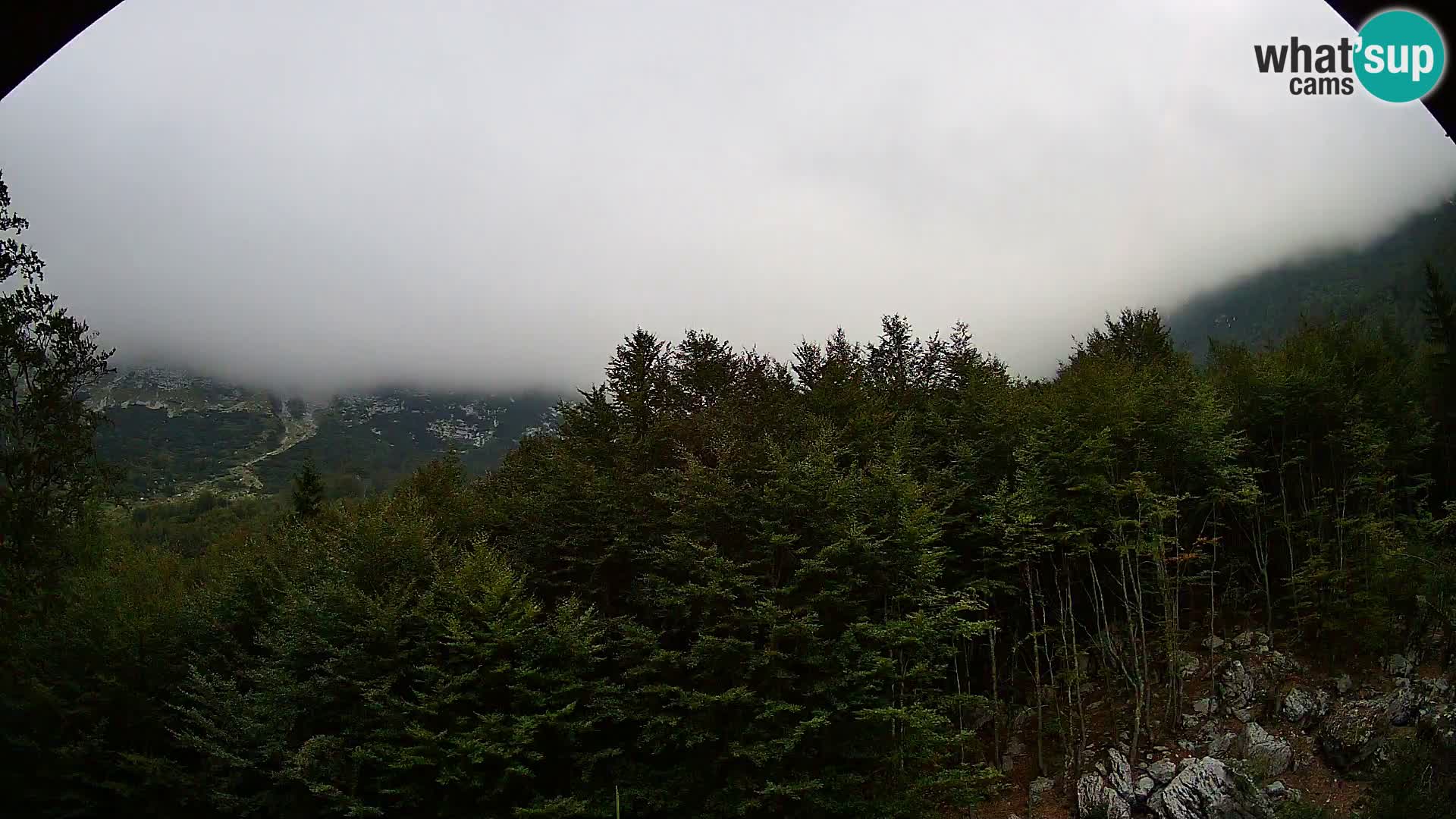 Webcam PLANINA RAZOR (1315) | Blick auf Vogel und Globoko