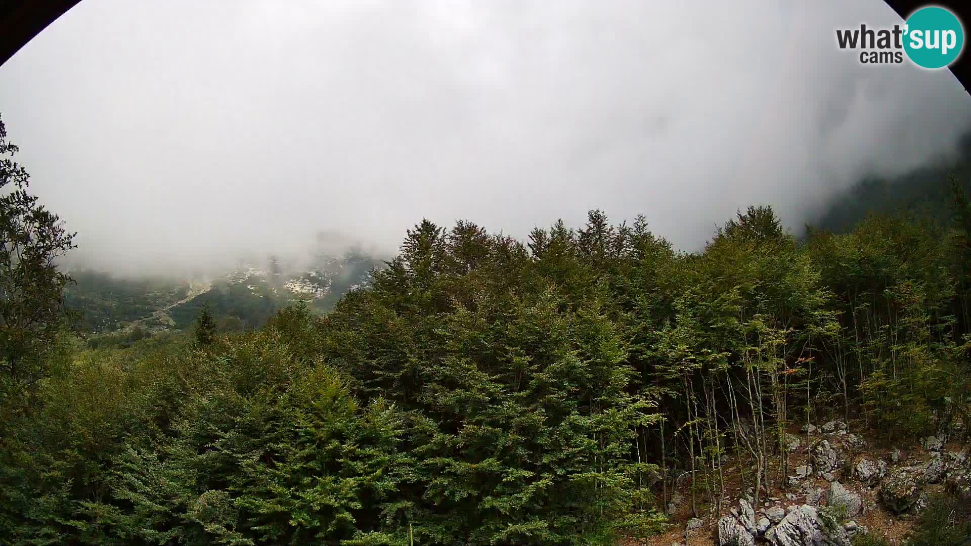 Webcam PLANINA RAZOR (1315) | Blick auf Vogel und Globoko