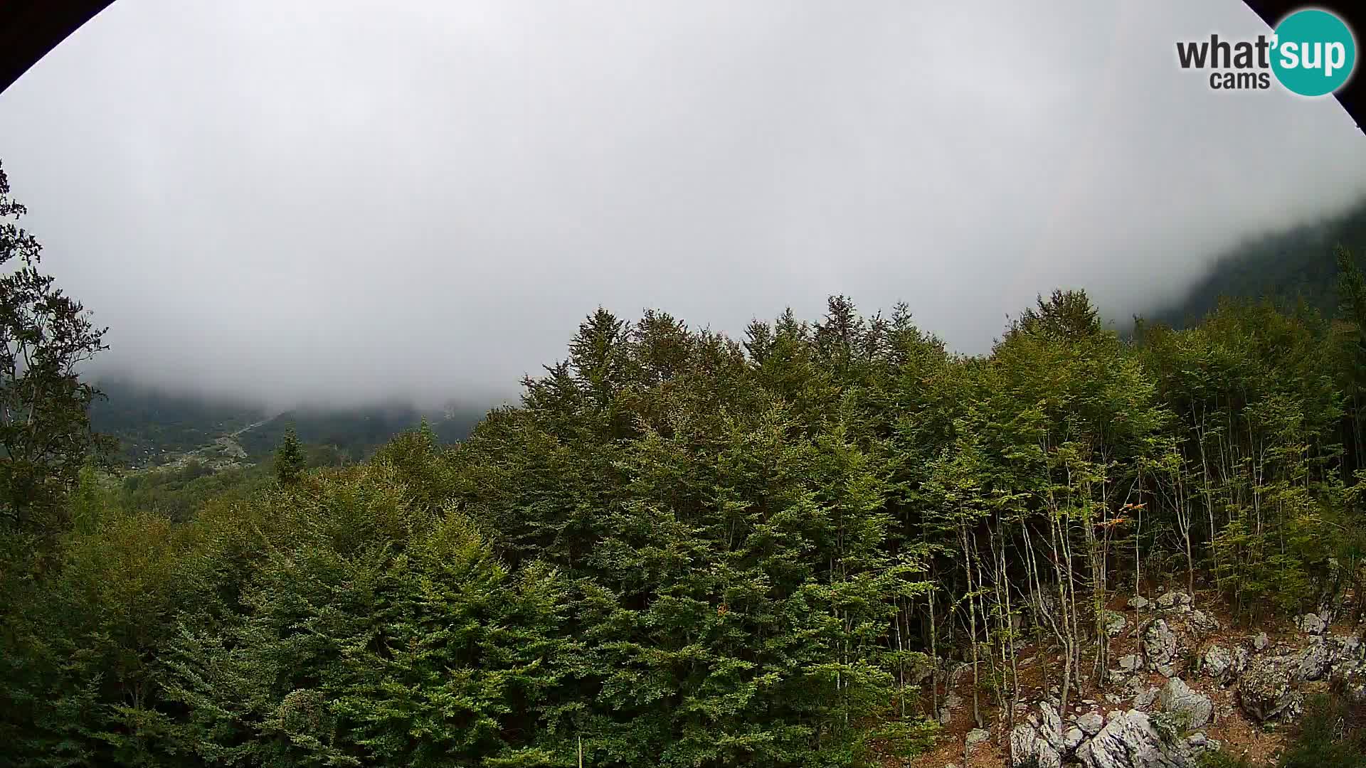 Livecam PLANINA RAZOR (1315) | vue sur Vogel et Globoko