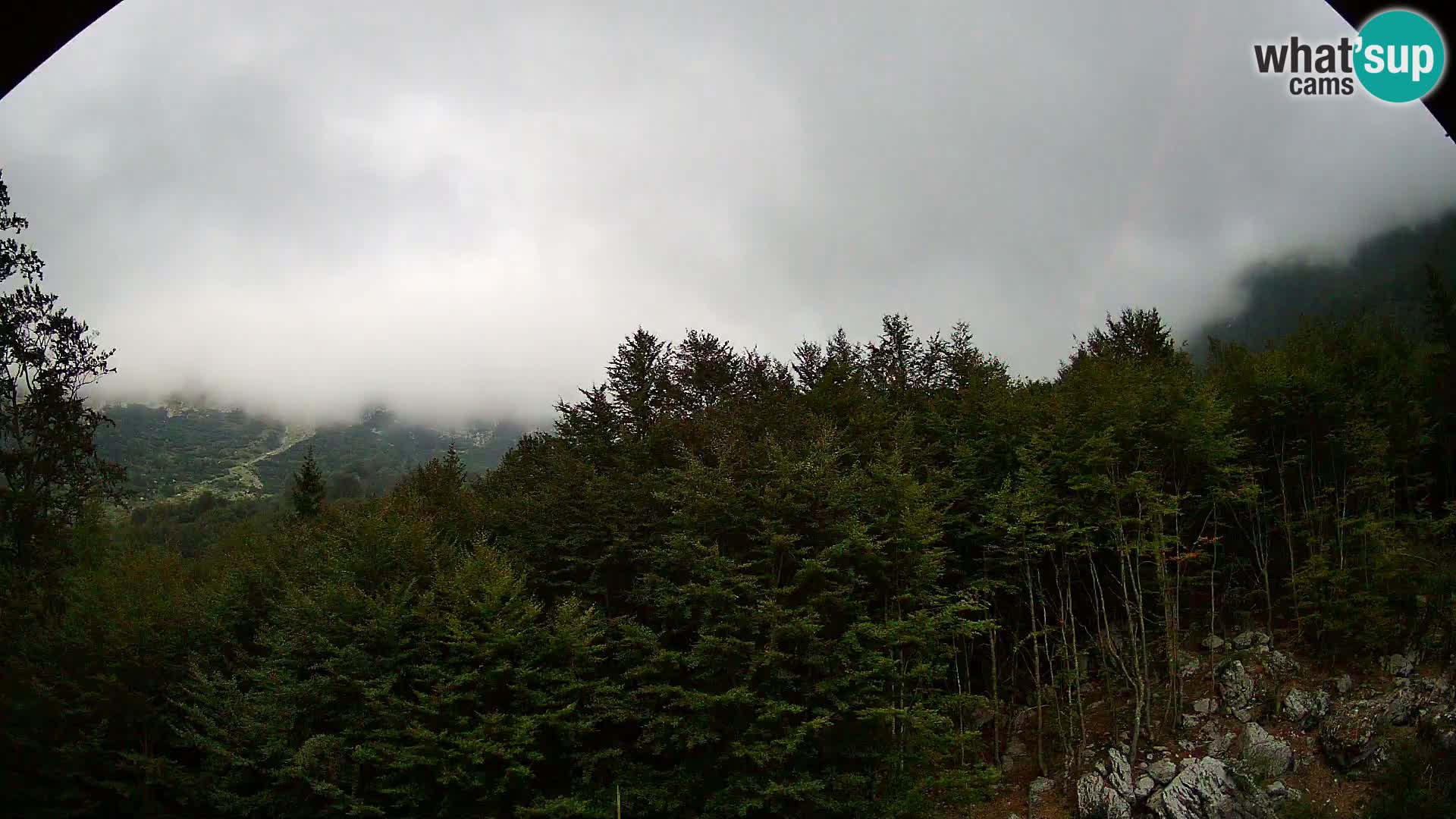 Webcam PLANINA RAZOR (1315) | Blick auf Vogel und Globoko