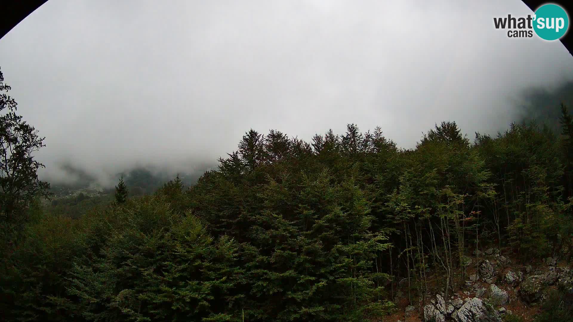 Webcam PLANINA RAZOR (1315) | Blick auf Vogel und Globoko