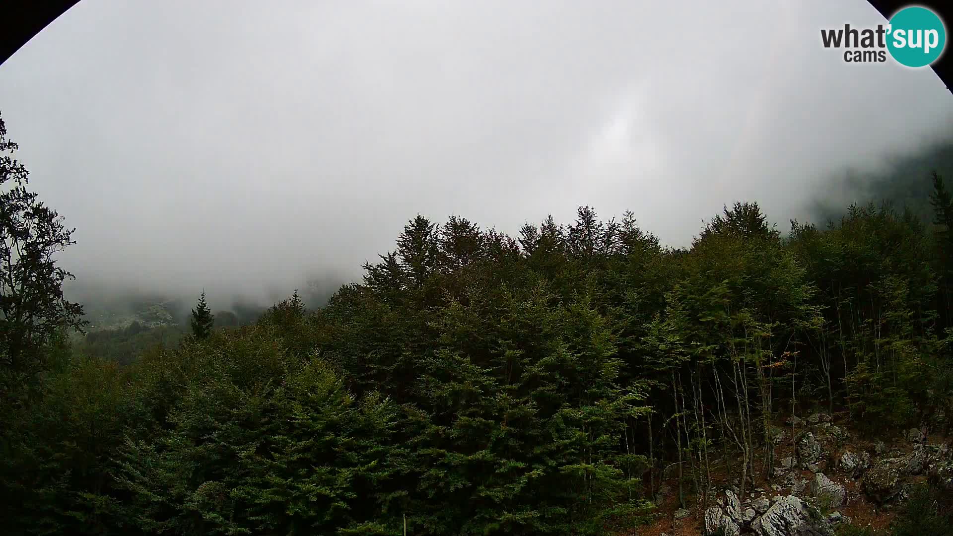 Livecam PLANINA RAZOR (1315) | vue sur Vogel et Globoko