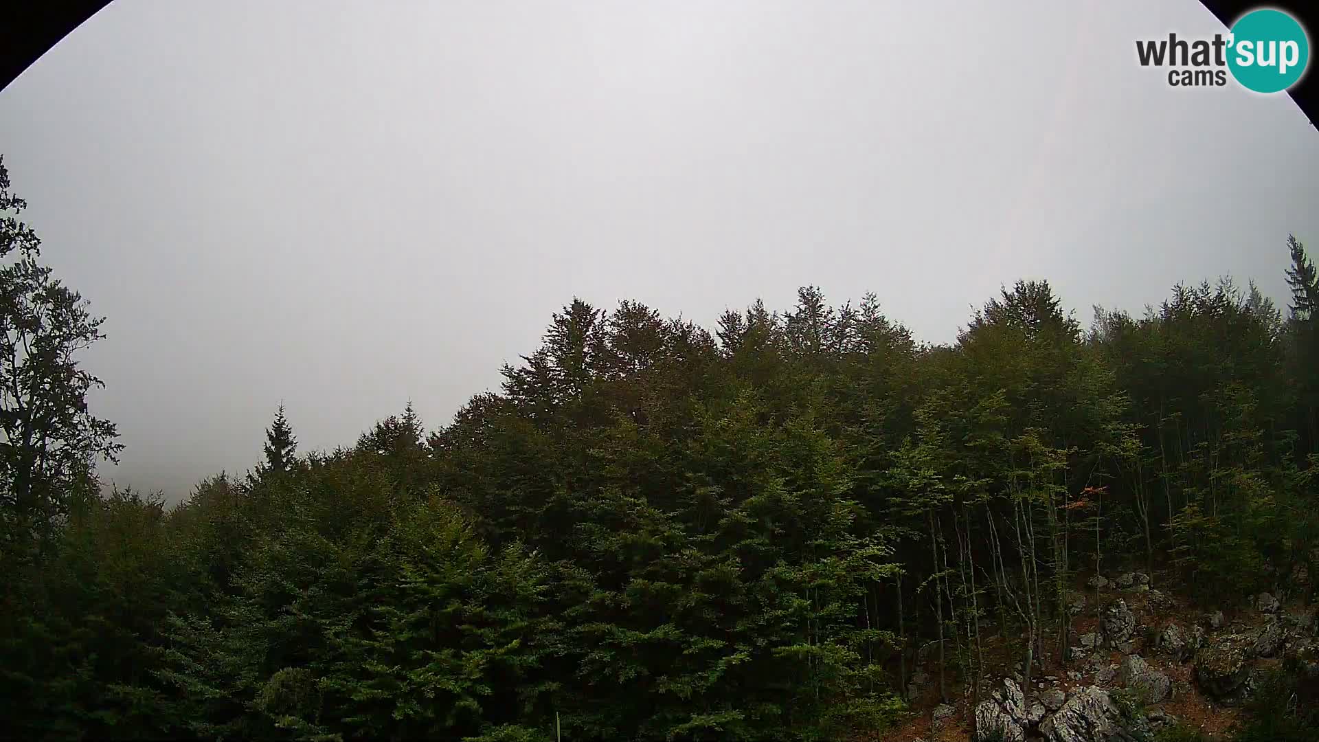 PLANINA RAZOR webcam (1315) | view to Vogel and Globoko