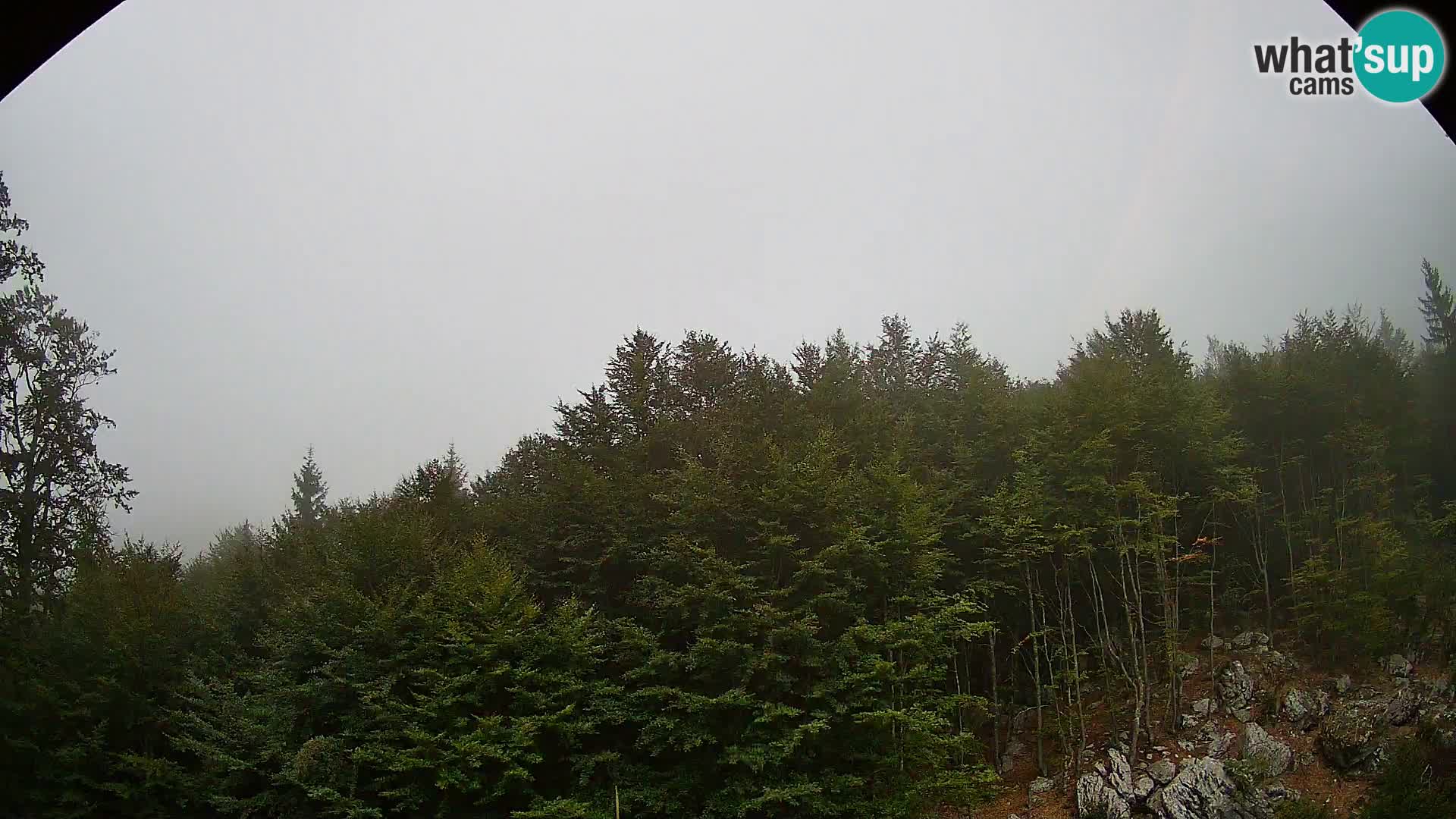 Webcam PLANINA RAZOR (1315) | Blick auf Vogel und Globoko