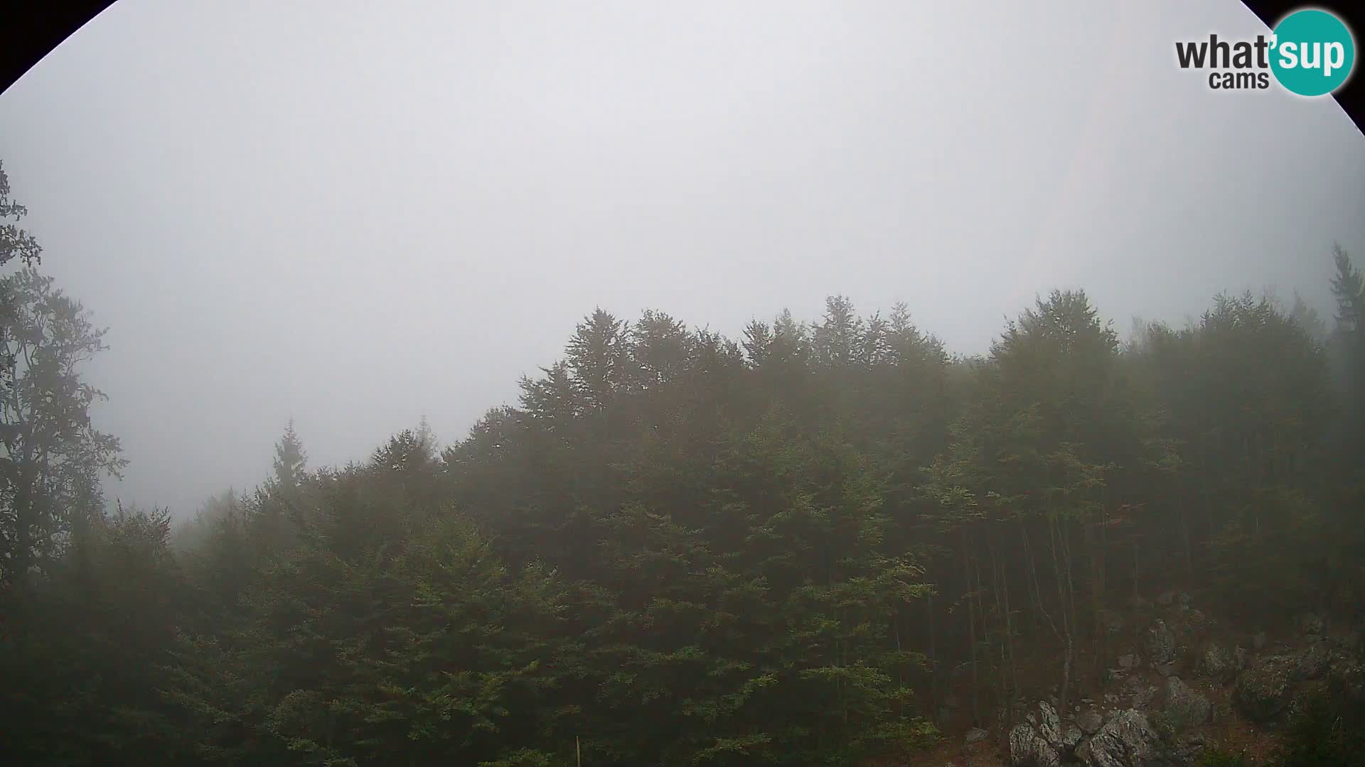 PLANINA RAZOR webcam (1315) | view to Vogel and Globoko