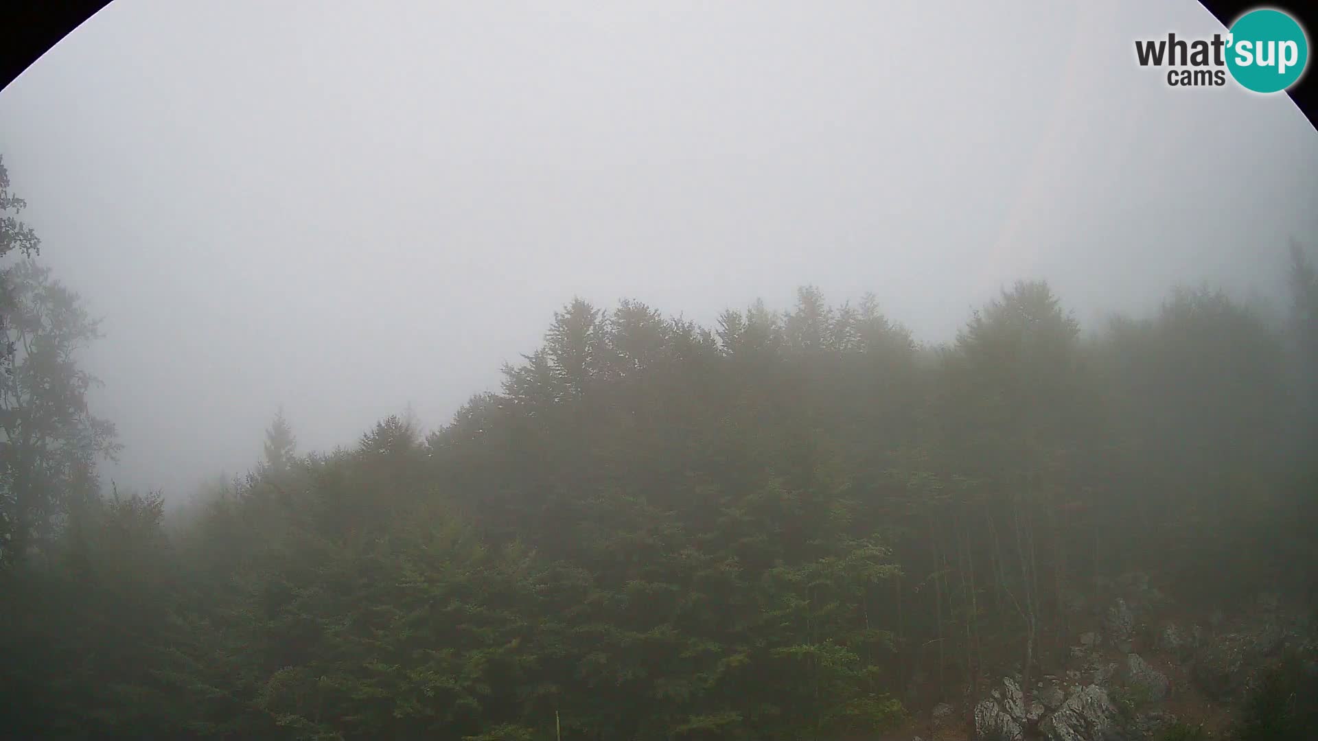 PLANINA RAZOR web kamera (1315) | pogled na Vogel i Globoko