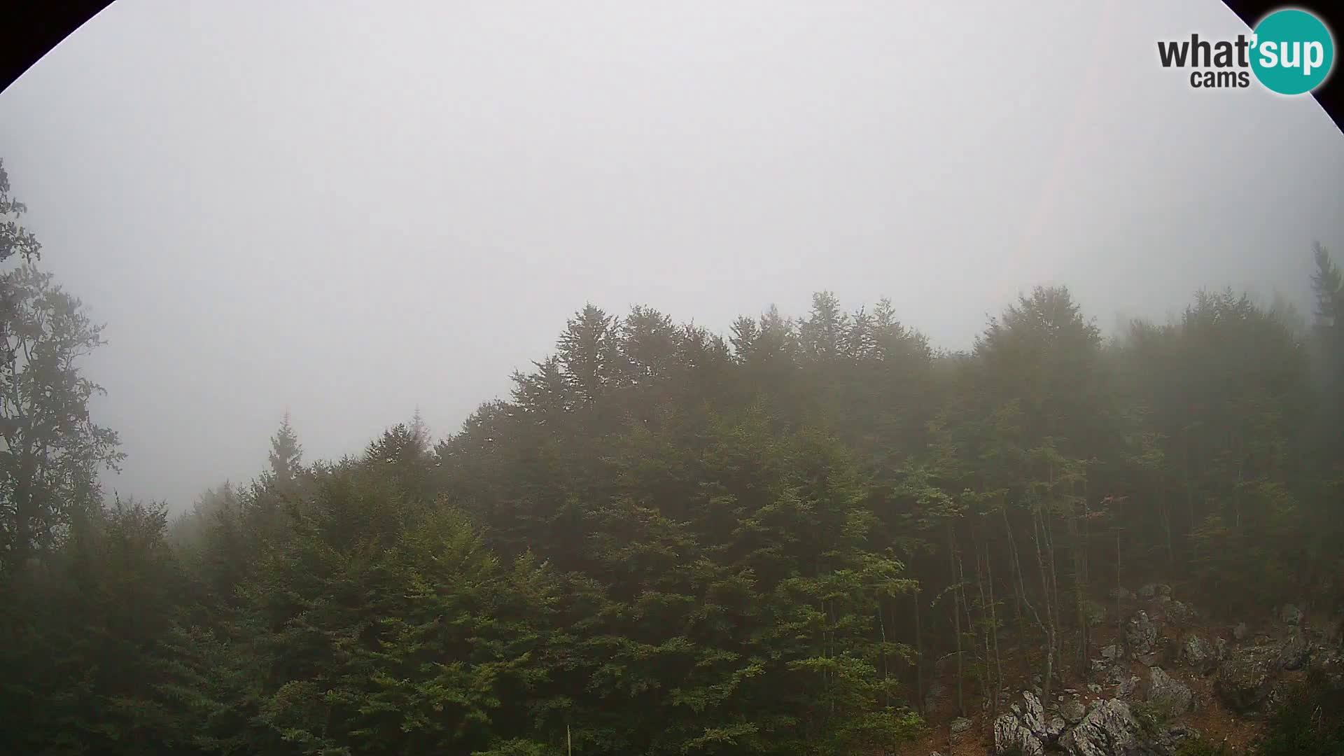 Livecam PLANINA RAZOR (1315) | vue sur Vogel et Globoko