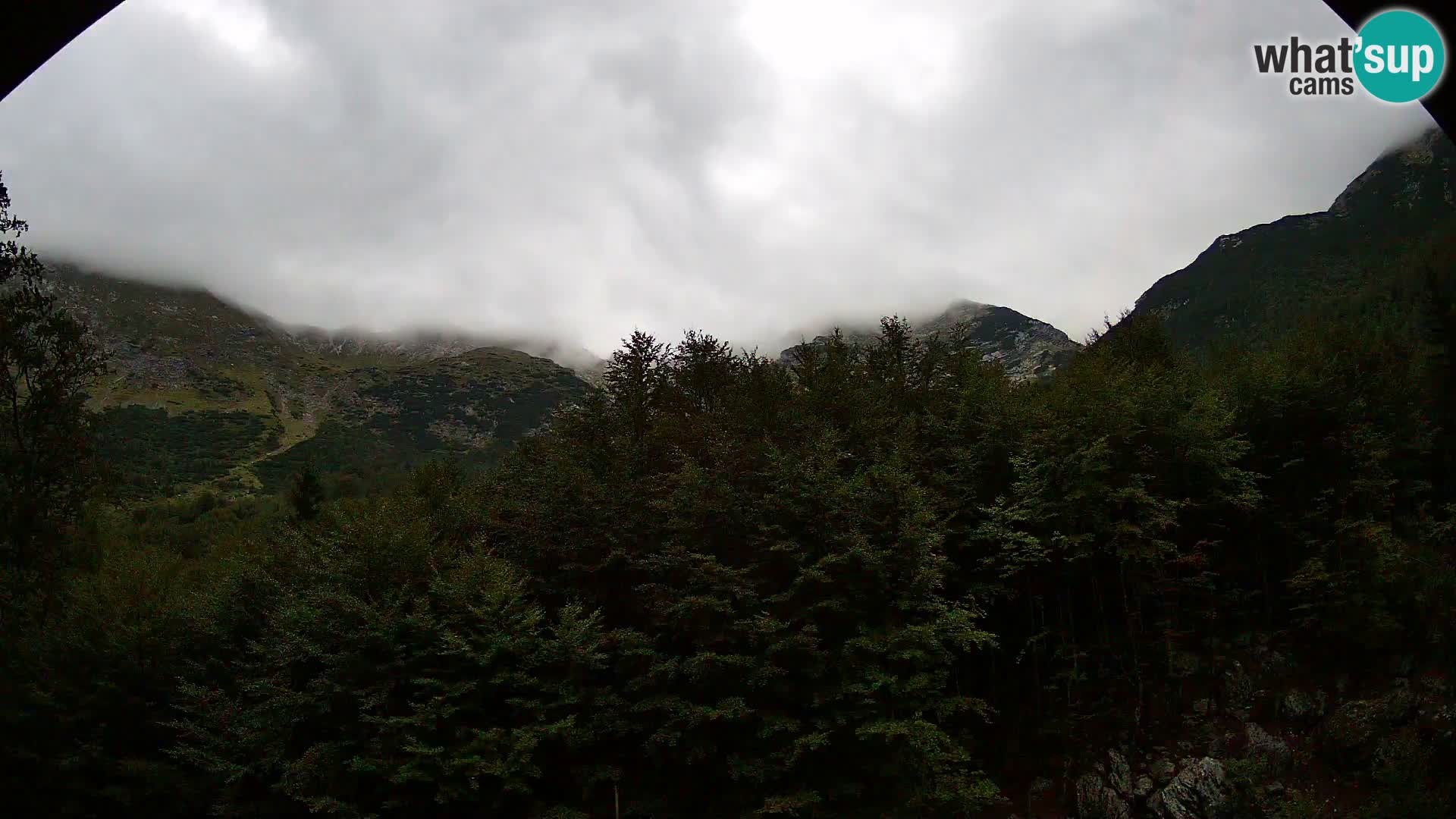 Webcam PLANINA RAZOR (1315) | Blick auf Vogel und Globoko