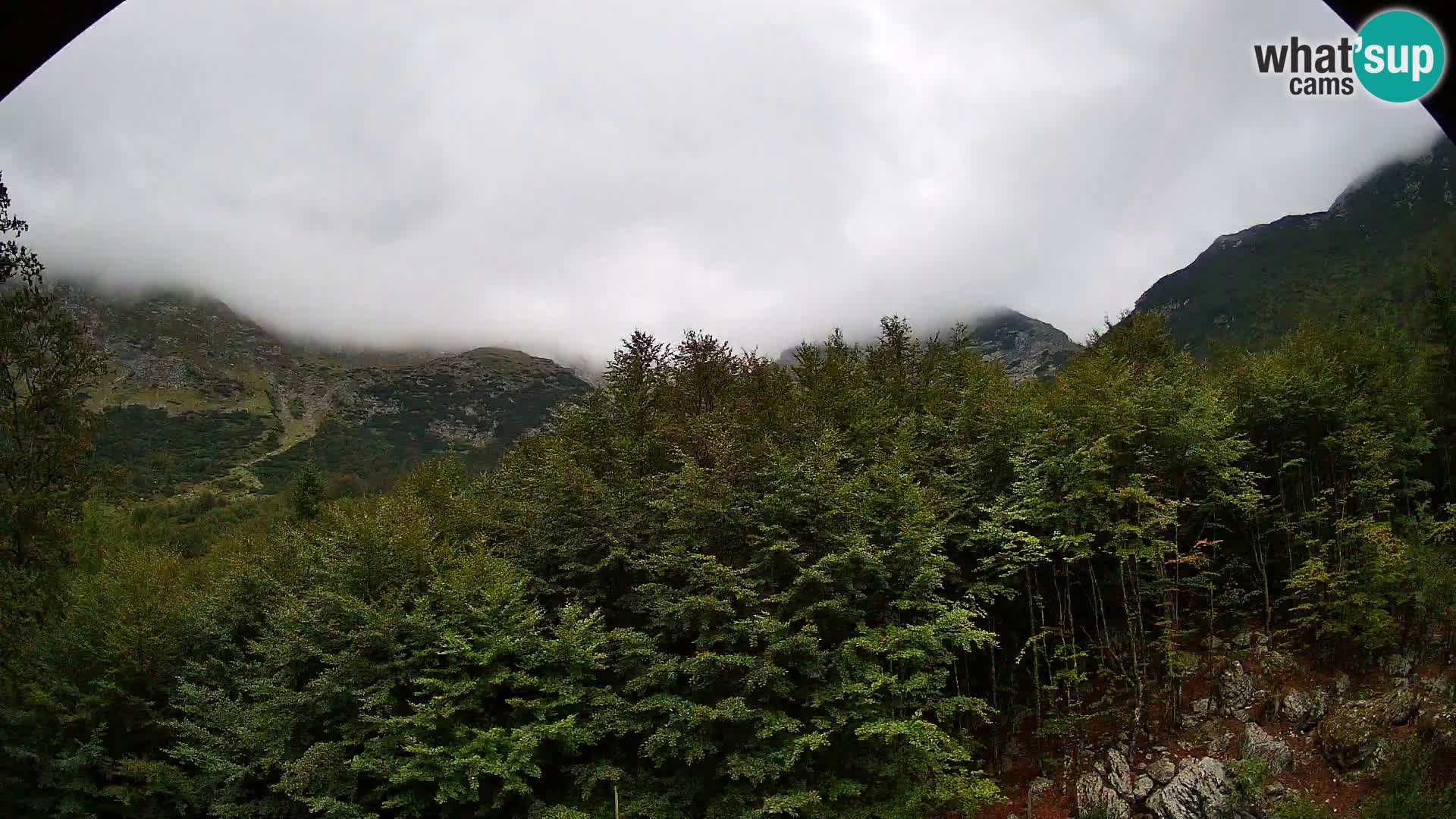 PLANINA RAZOR kamera (1315) | pogled na Vogel in Globoko