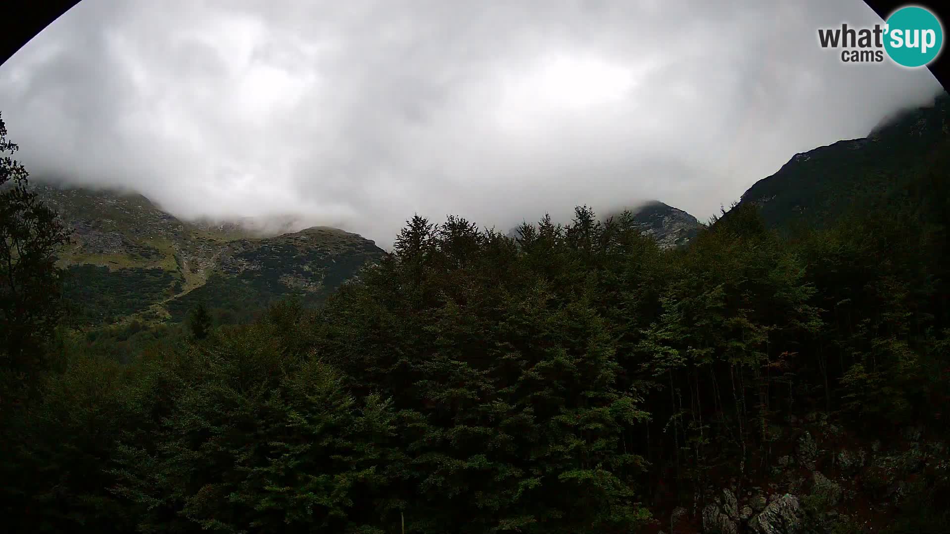 Webcam PLANINA RAZOR (1315) | Blick auf Vogel und Globoko
