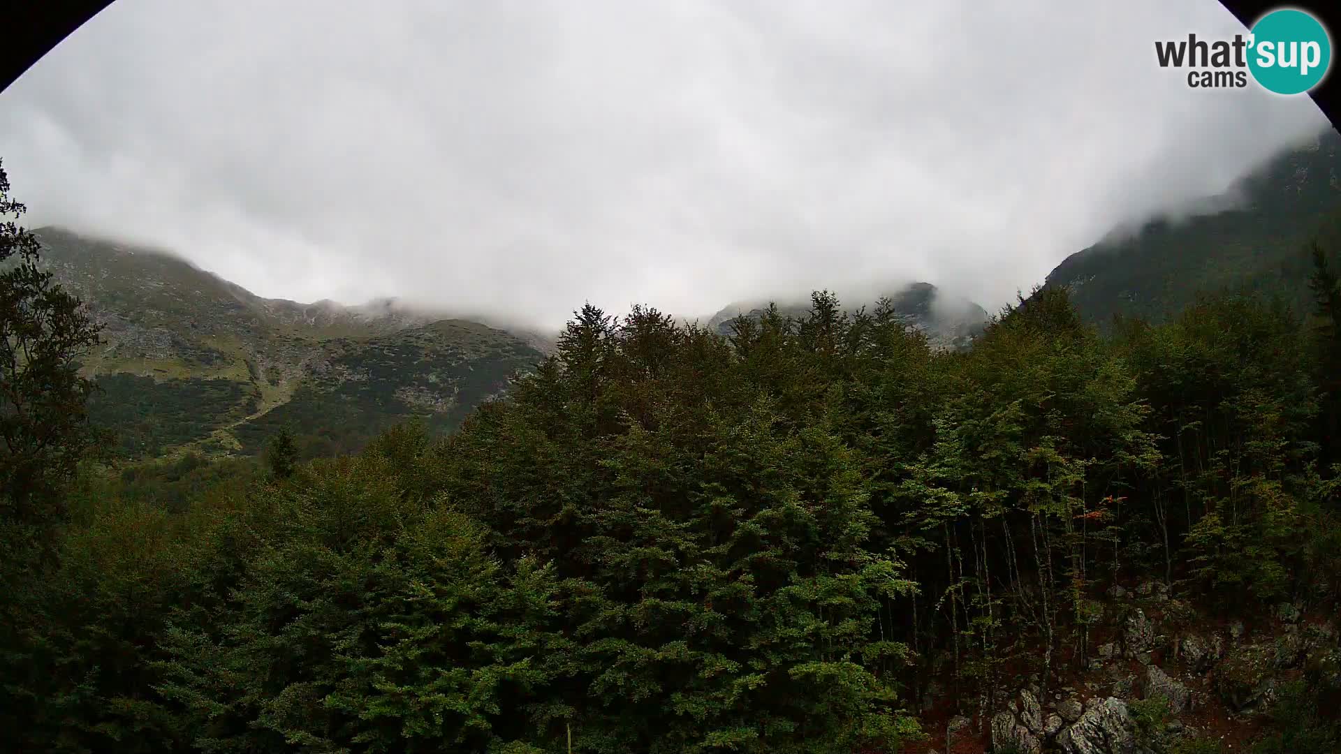 PLANINA RAZOR Live Cam (1315) | vista su Vogel e Globoko
