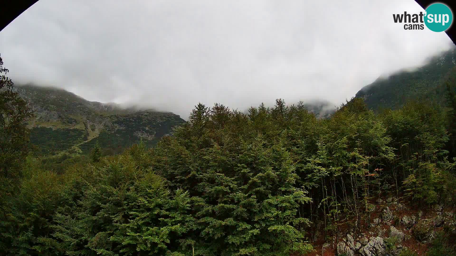 PLANINA RAZOR kamera (1315) | pogled na Vogel in Globoko