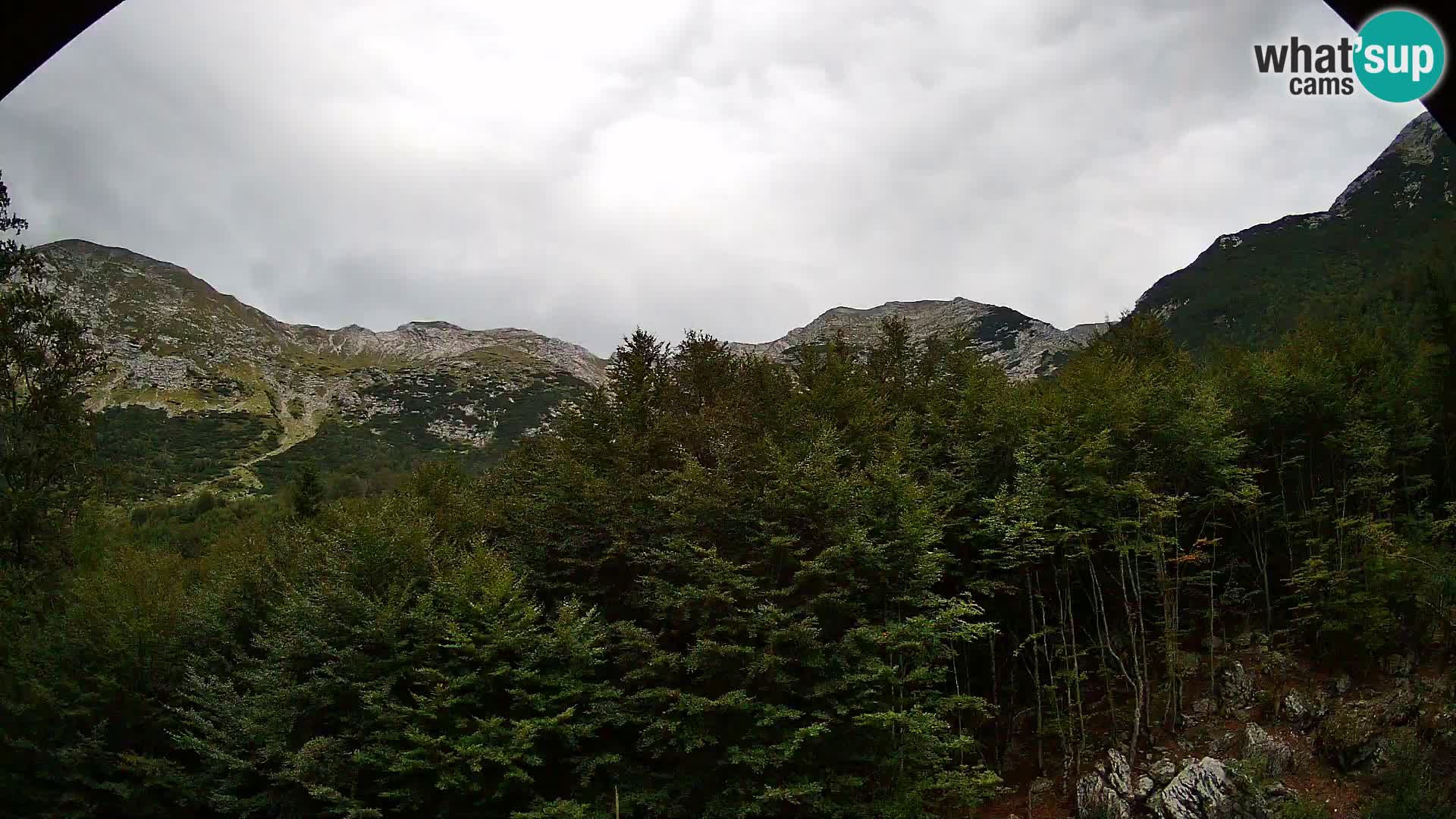 Webcam PLANINA RAZOR (1315) | Blick auf Vogel und Globoko