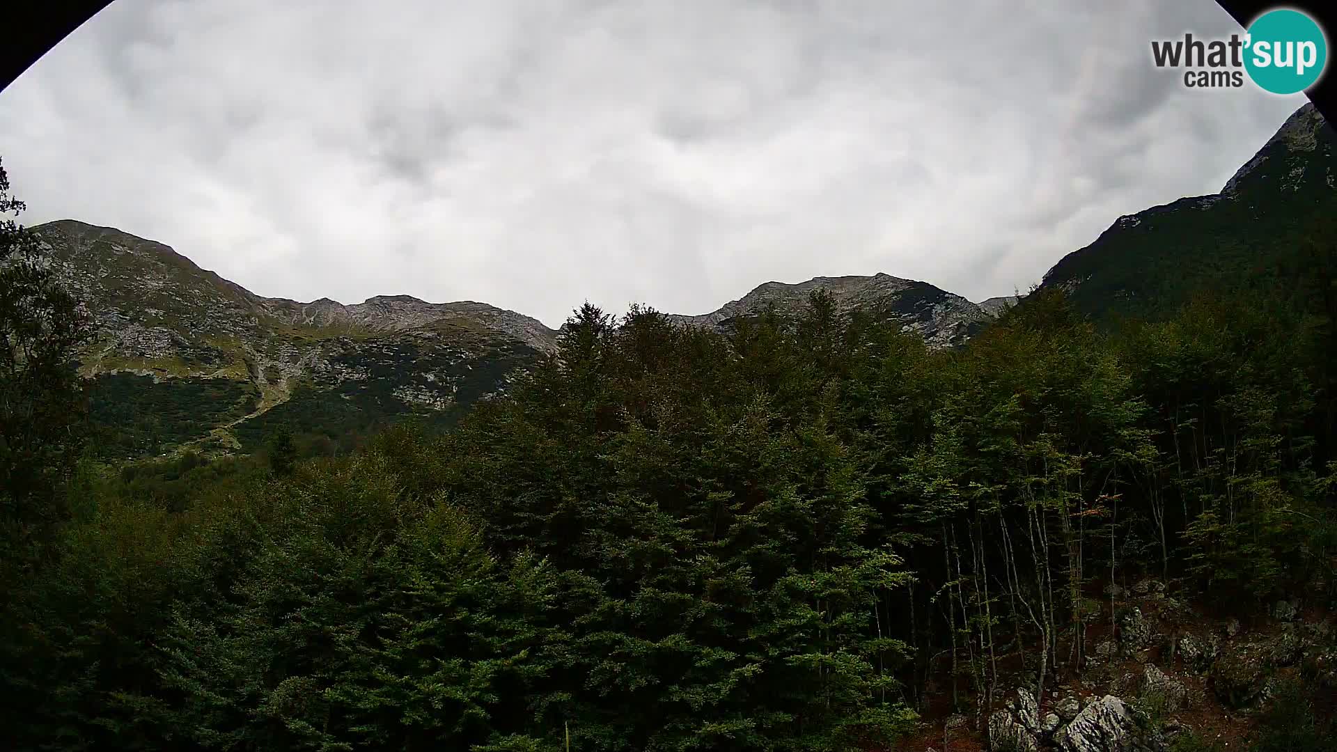 Cámara web PLANINA RAZOR (1315) | vista a Vogel y Globoko