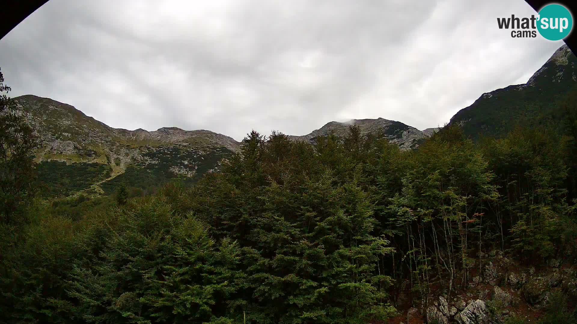 PLANINA RAZOR web kamera (1315) | pogled na Vogel i Globoko