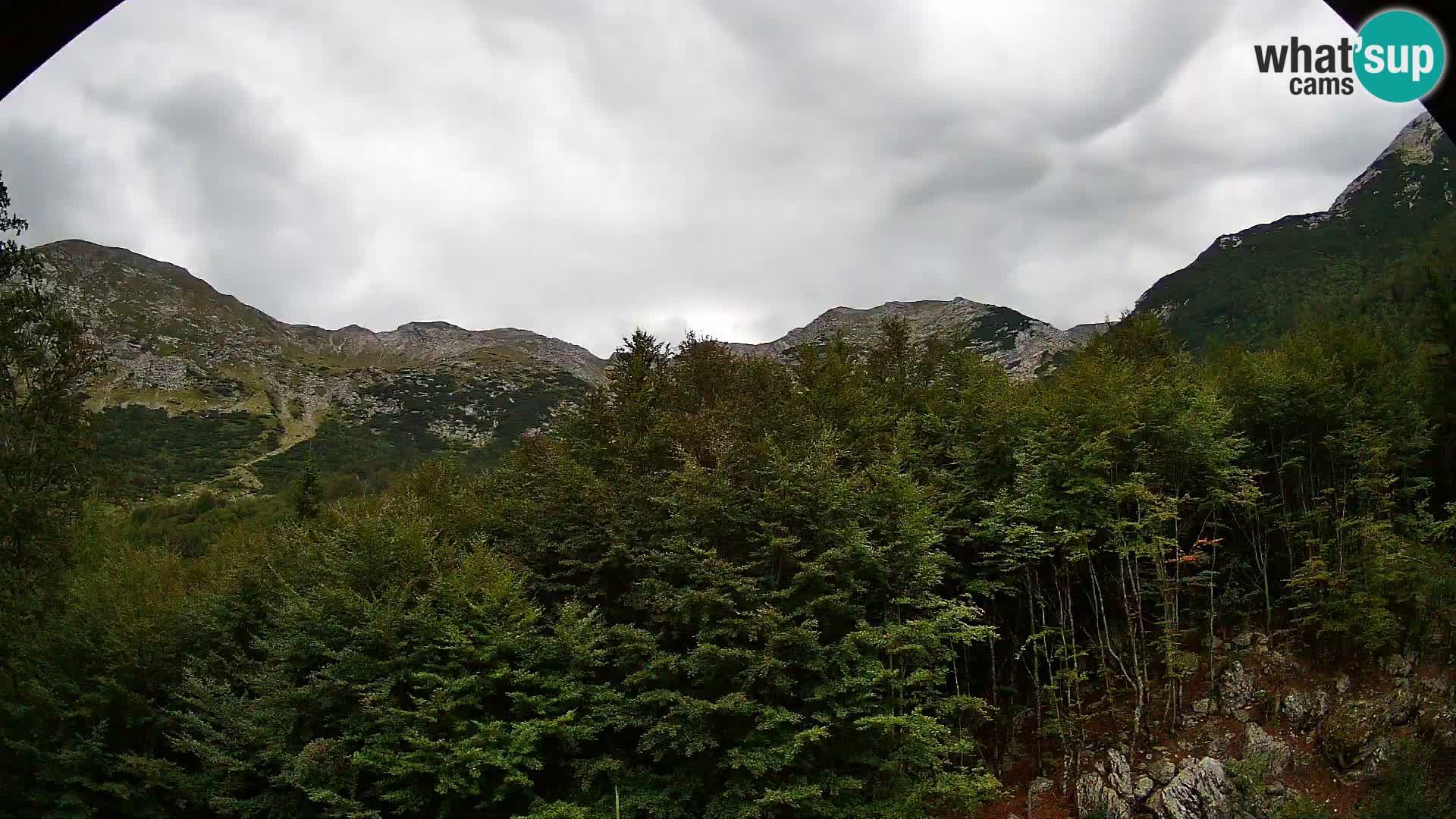 PLANINA RAZOR Live Cam (1315) | vista su Vogel e Globoko