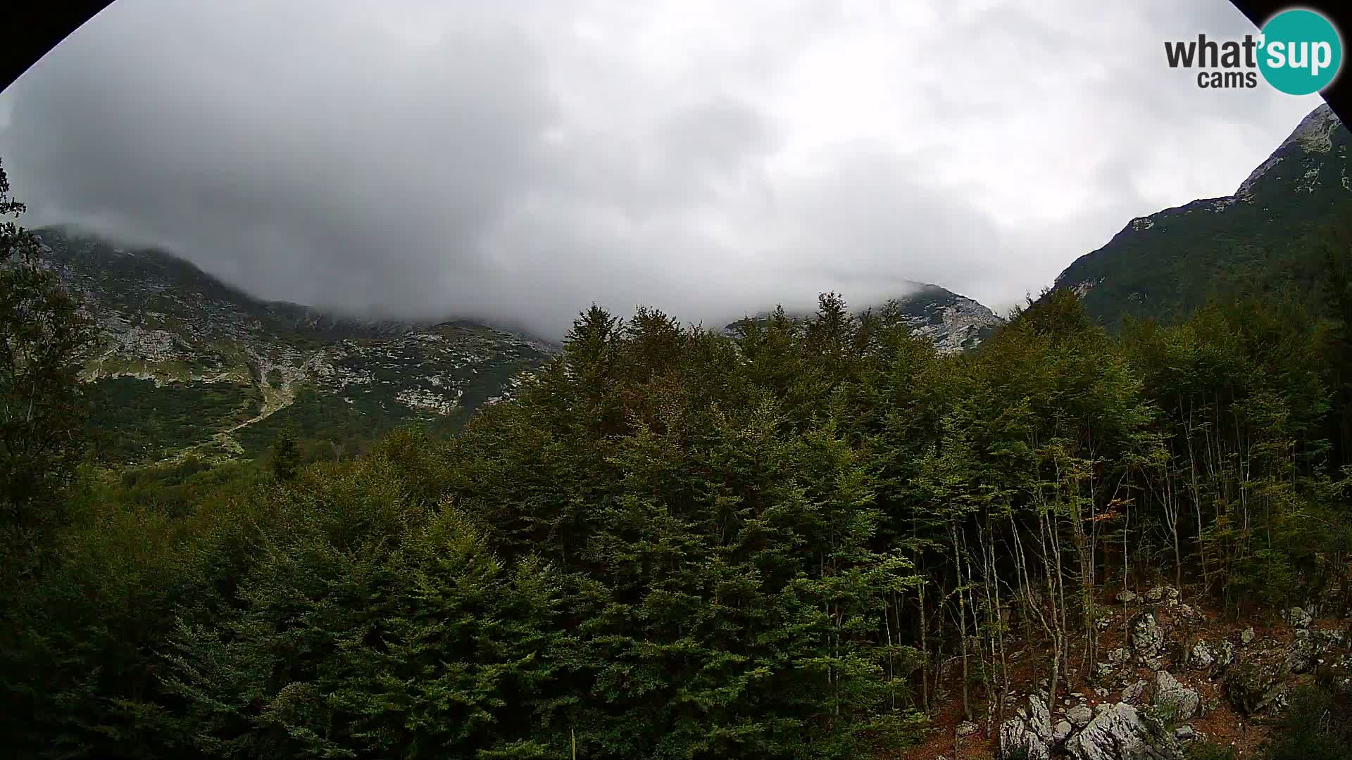 Livecam PLANINA RAZOR (1315) | vue sur Vogel et Globoko