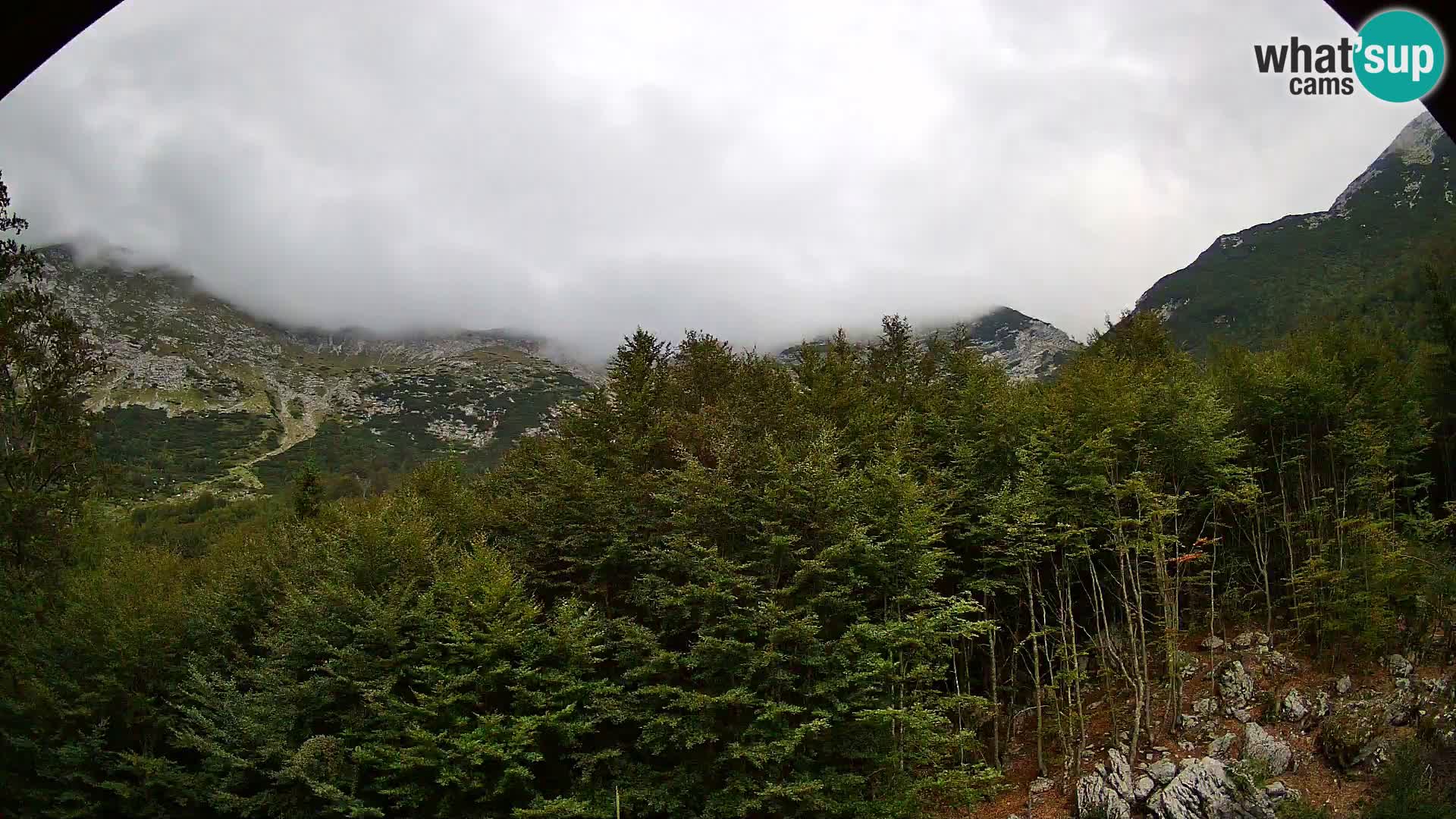 PLANINA RAZOR kamera (1315) | pogled na Vogel in Globoko