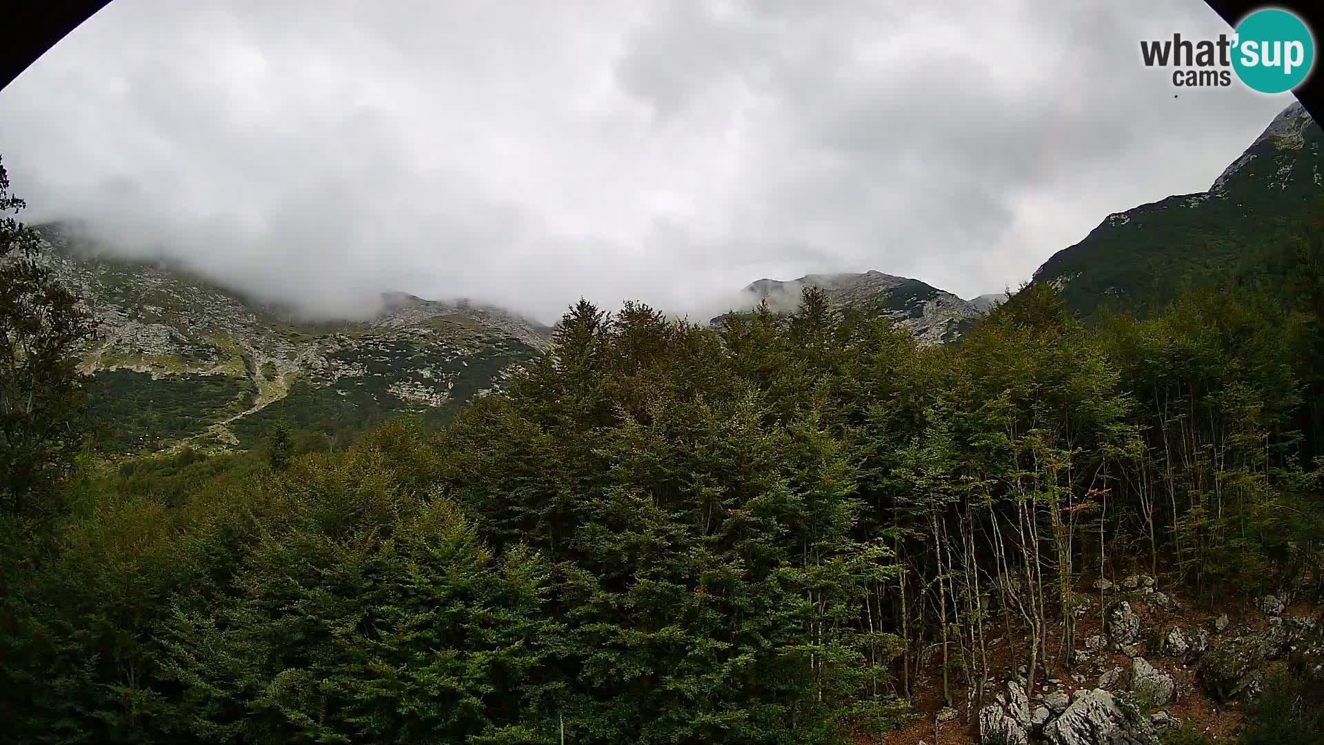PLANINA RAZOR Live Cam (1315) | vista su Vogel e Globoko