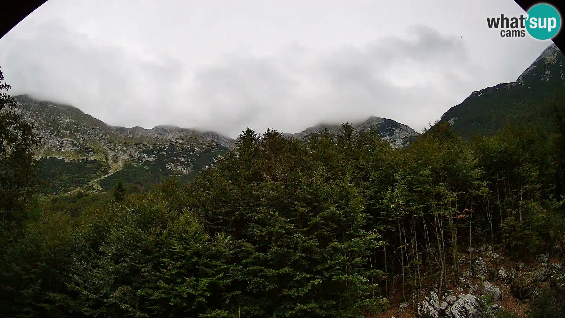 Livecam PLANINA RAZOR (1315) | vue sur Vogel et Globoko
