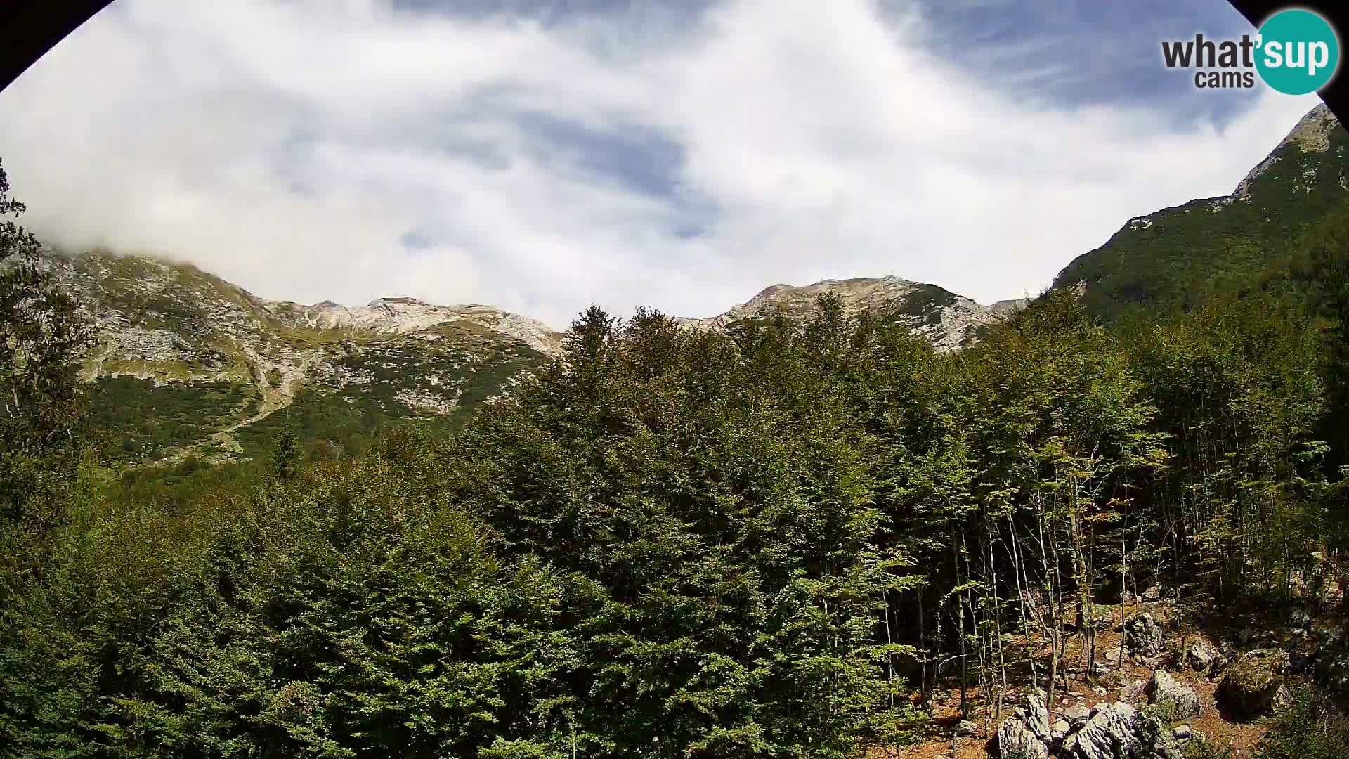 Cámara web PLANINA RAZOR (1315) | vista a Vogel y Globoko