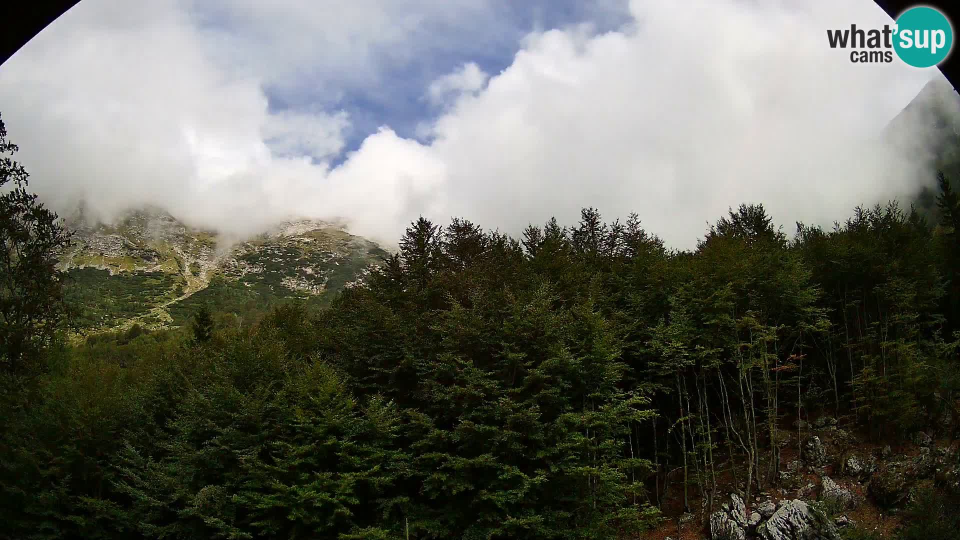PLANINA RAZOR kamera (1315) | pogled na Vogel in Globoko