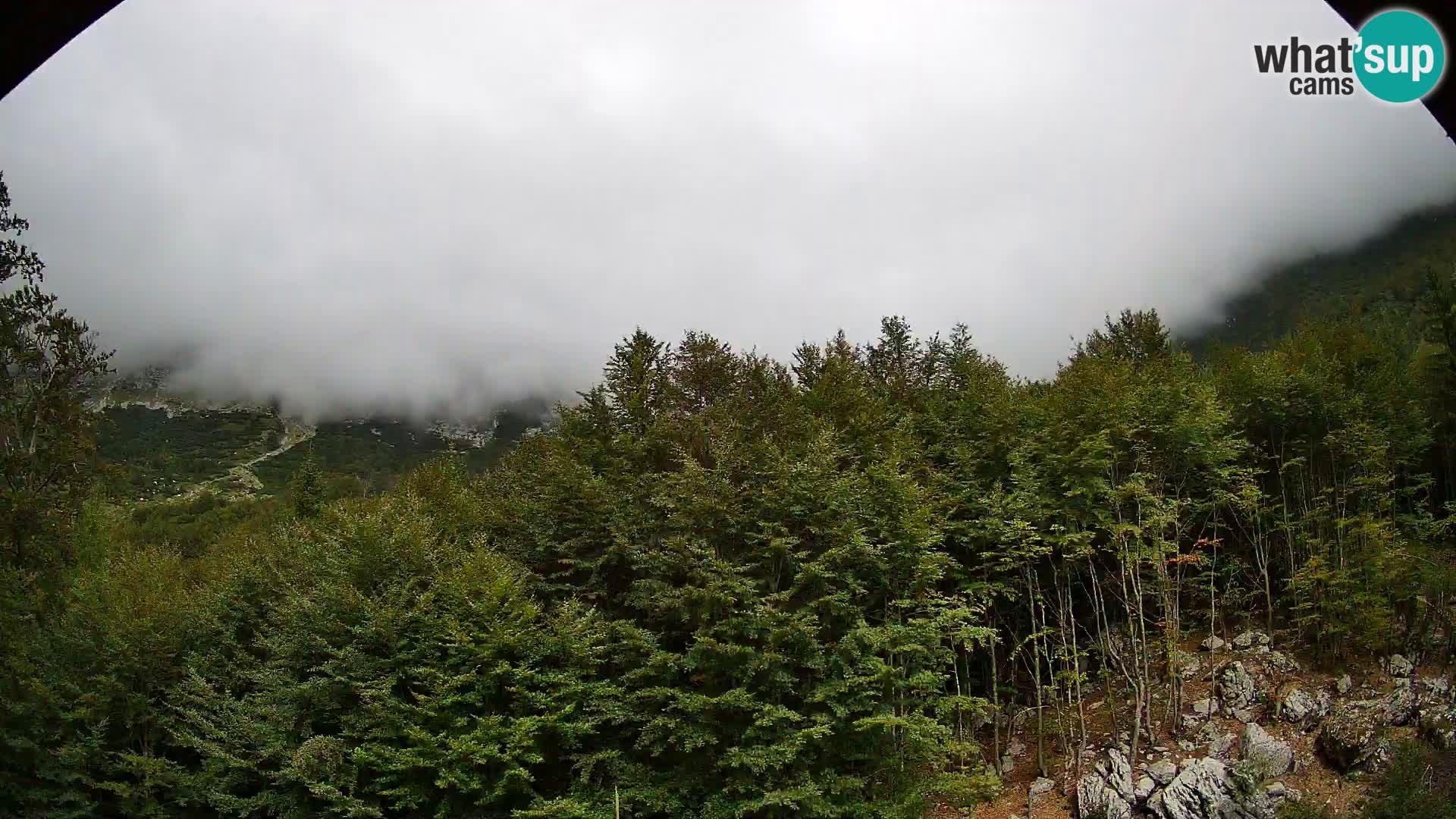 Webcam PLANINA RAZOR (1315) | Blick auf Vogel und Globoko