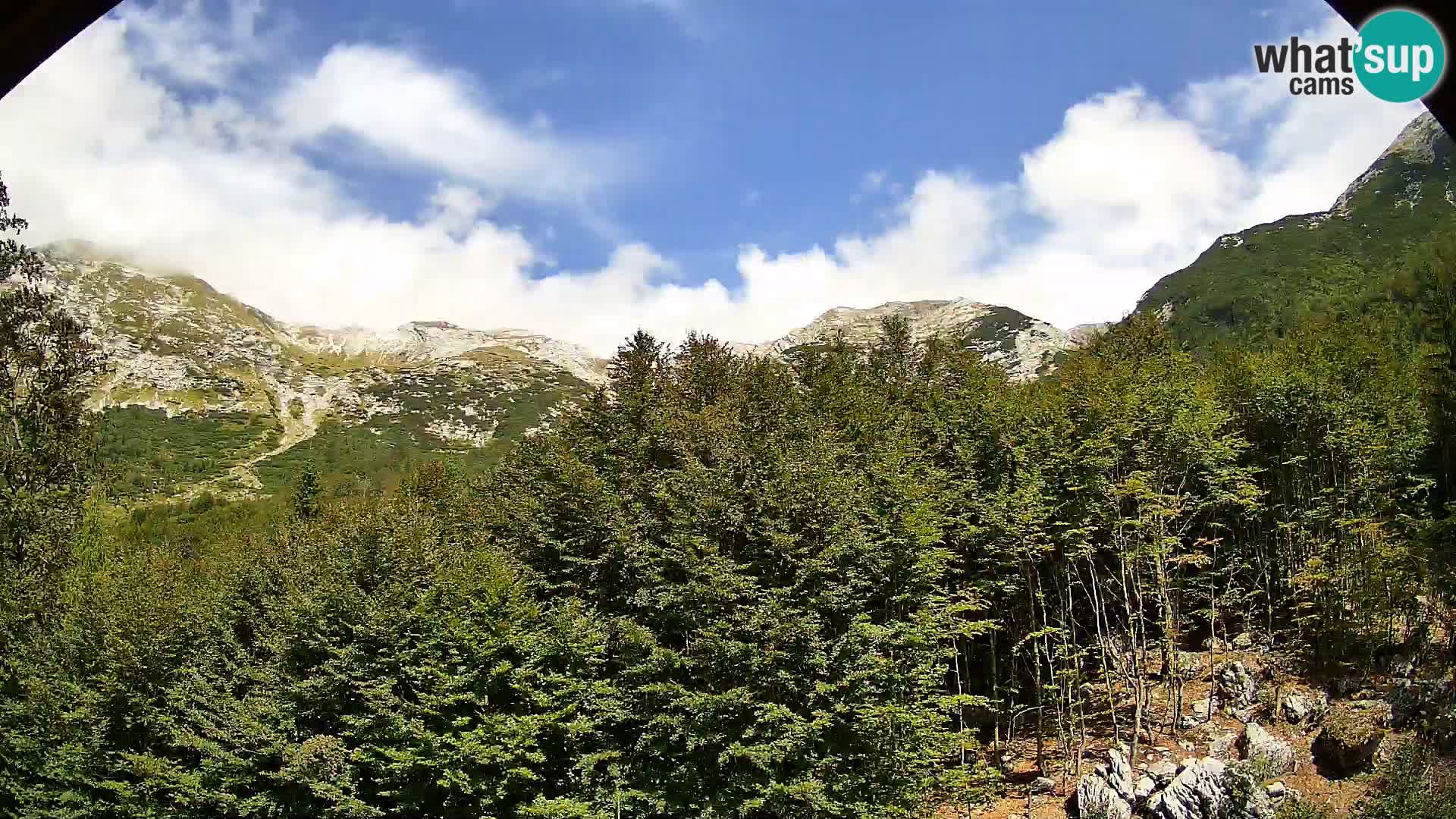 Livecam PLANINA RAZOR (1315) | vue sur Vogel et Globoko