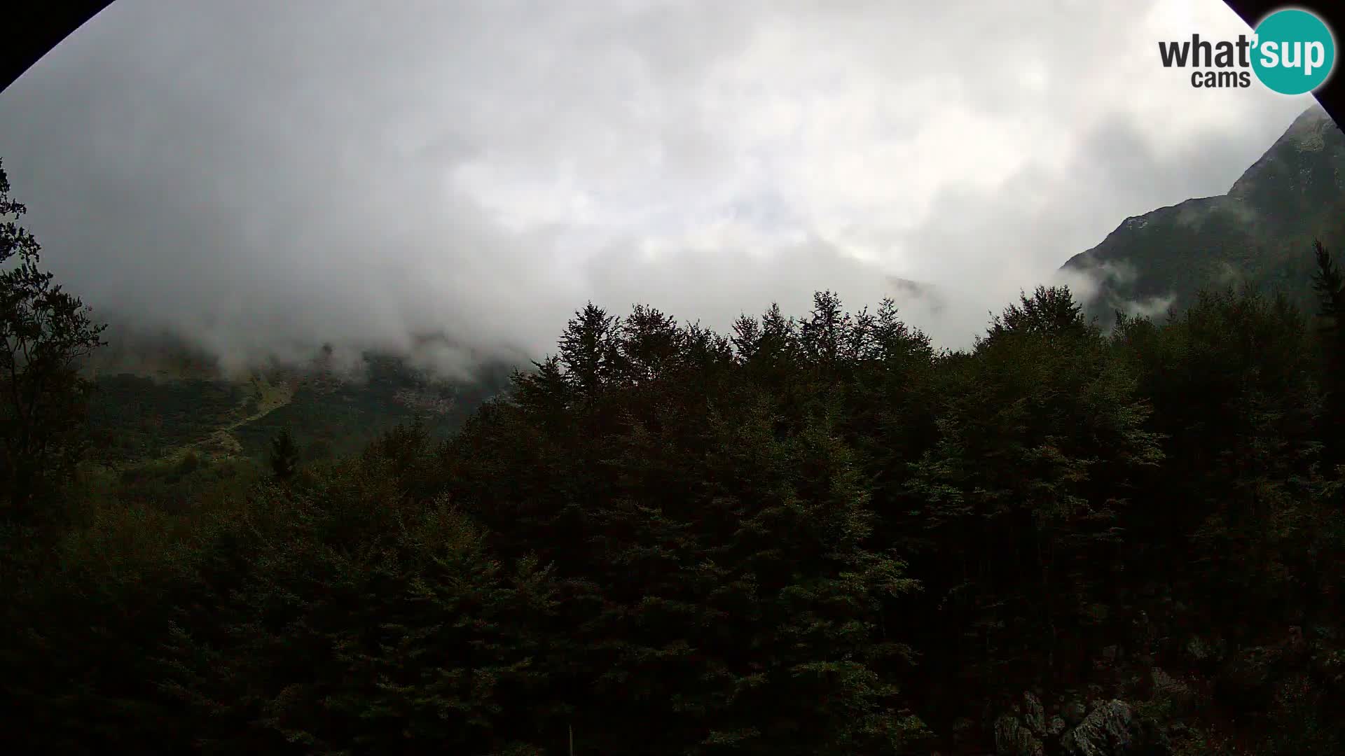 Webcam PLANINA RAZOR (1315) | Blick auf Vogel und Globoko