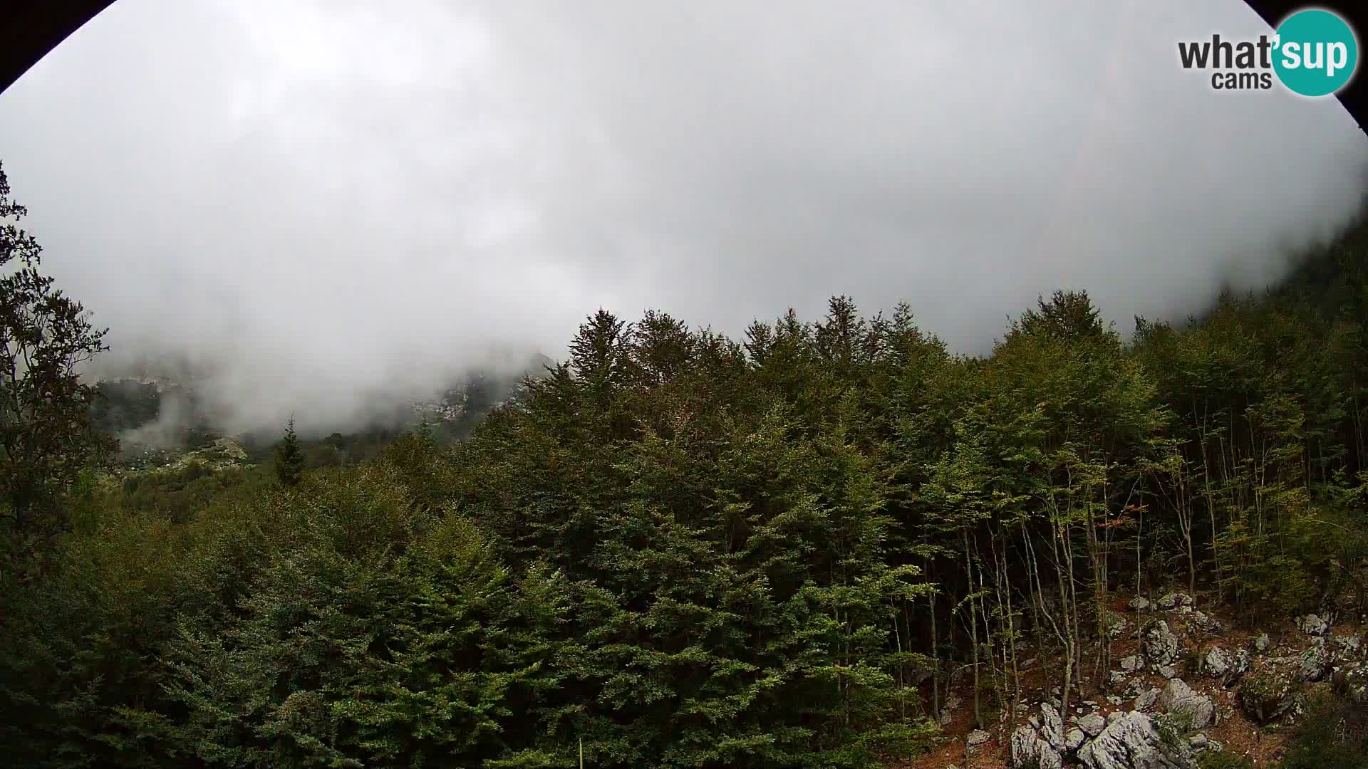PLANINA RAZOR kamera (1315) | pogled na Vogel in Globoko