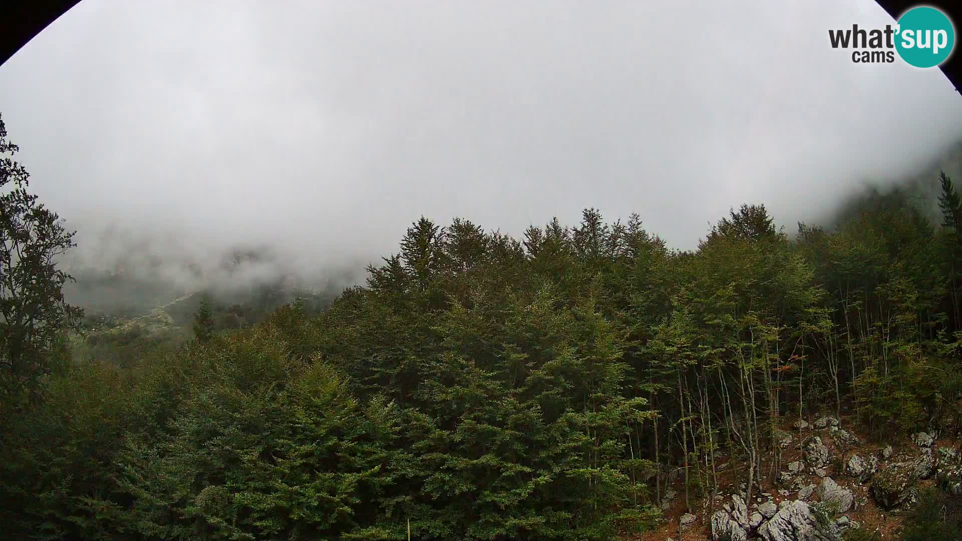 PLANINA RAZOR webcam (1315) | view to Vogel and Globoko