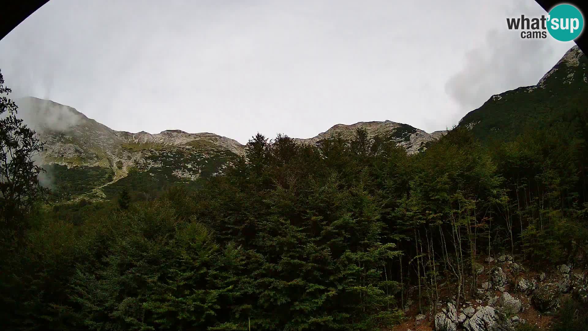 PLANINA RAZOR Live Cam (1315) | vista su Vogel e Globoko