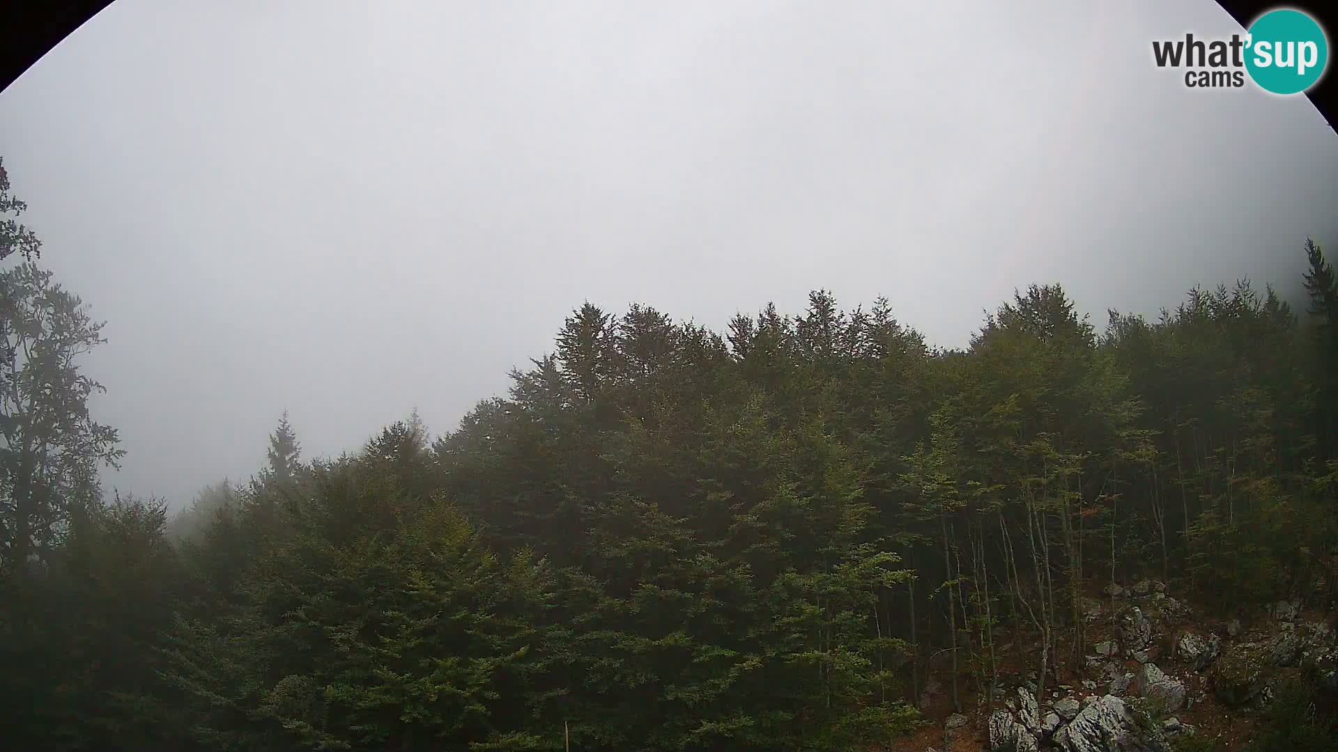 Livecam PLANINA RAZOR (1315) | vue sur Vogel et Globoko