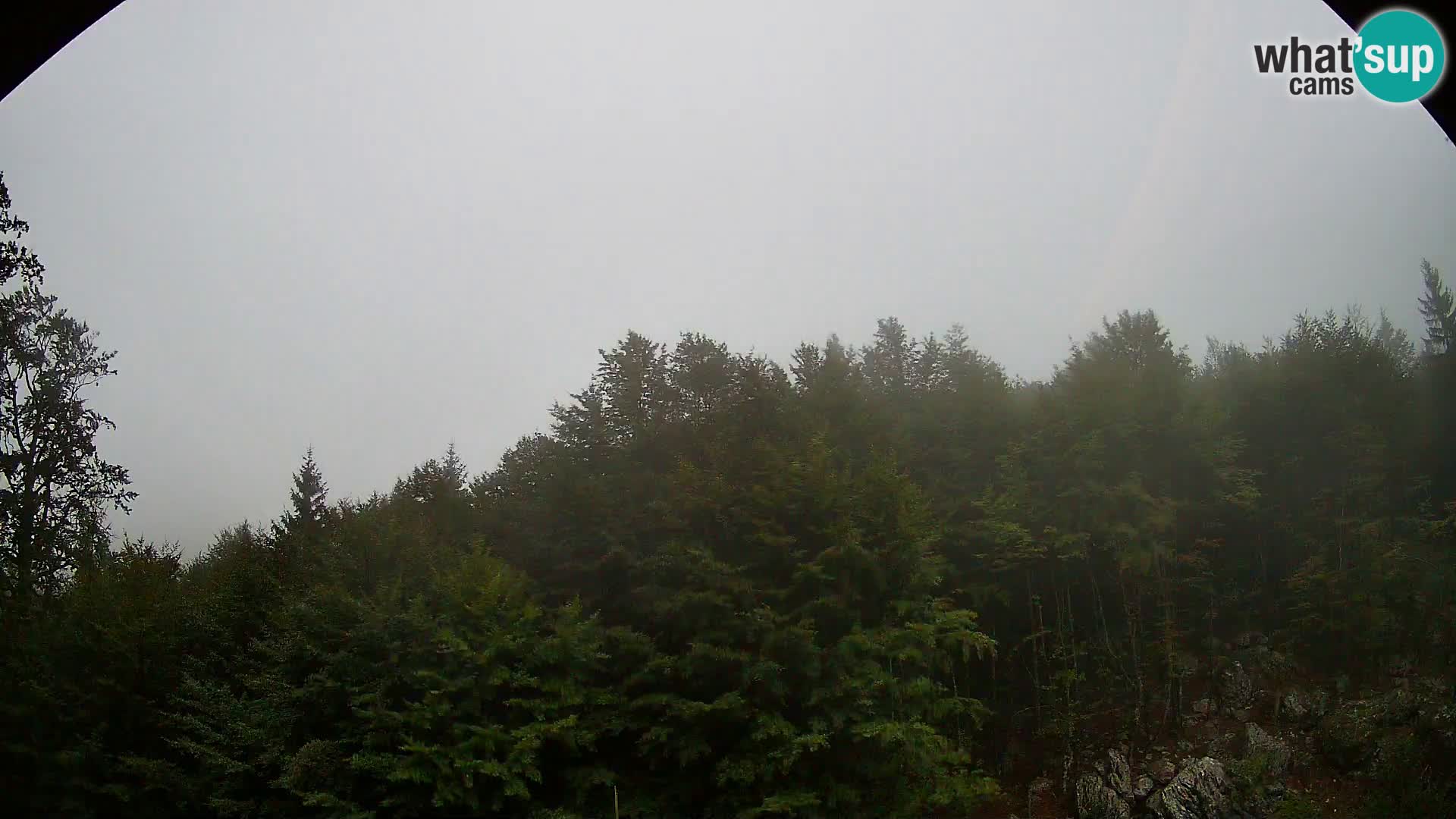 PLANINA RAZOR kamera (1315) | pogled na Vogel in Globoko