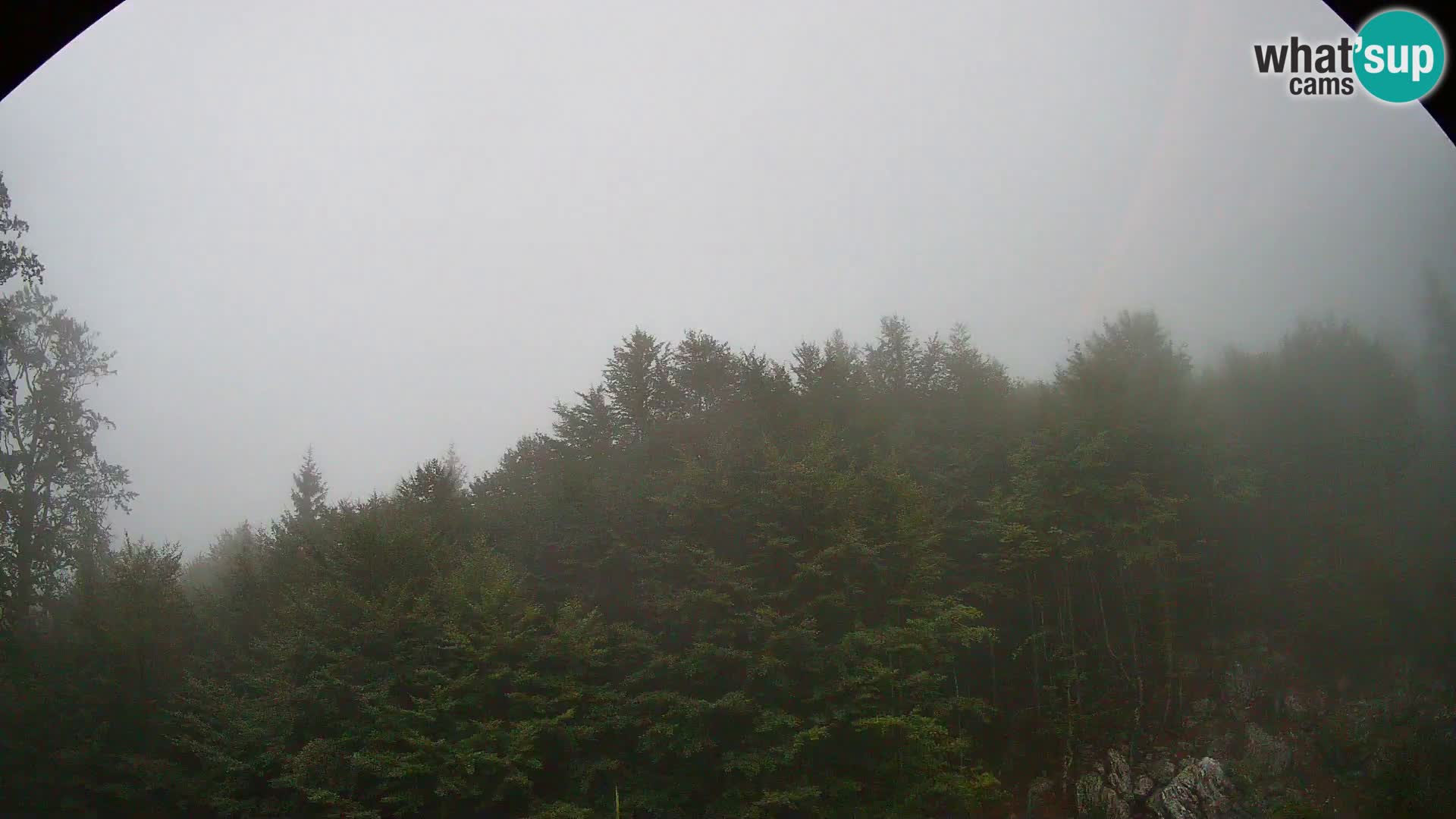 Webcam PLANINA RAZOR (1315) | Blick auf Vogel und Globoko