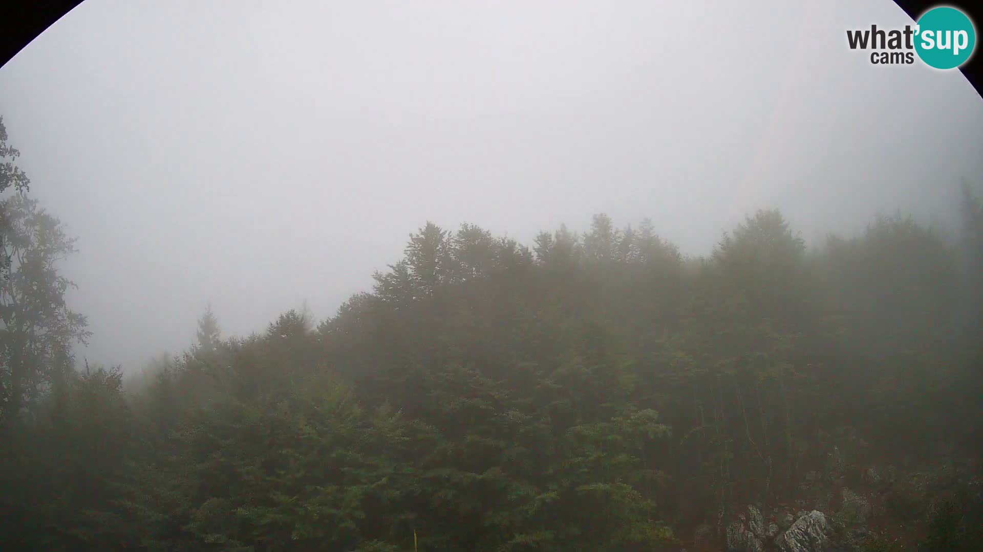 PLANINA RAZOR Live Cam (1315) | vista su Vogel e Globoko