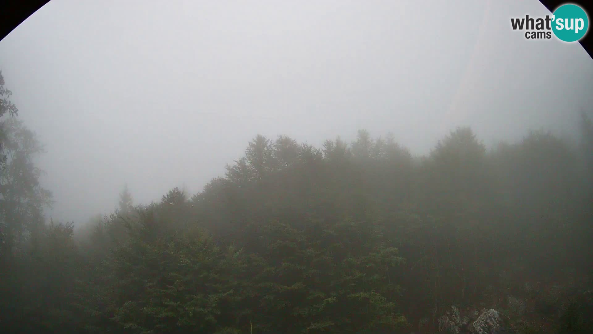 Webcam PLANINA RAZOR (1315) | Blick auf Vogel und Globoko