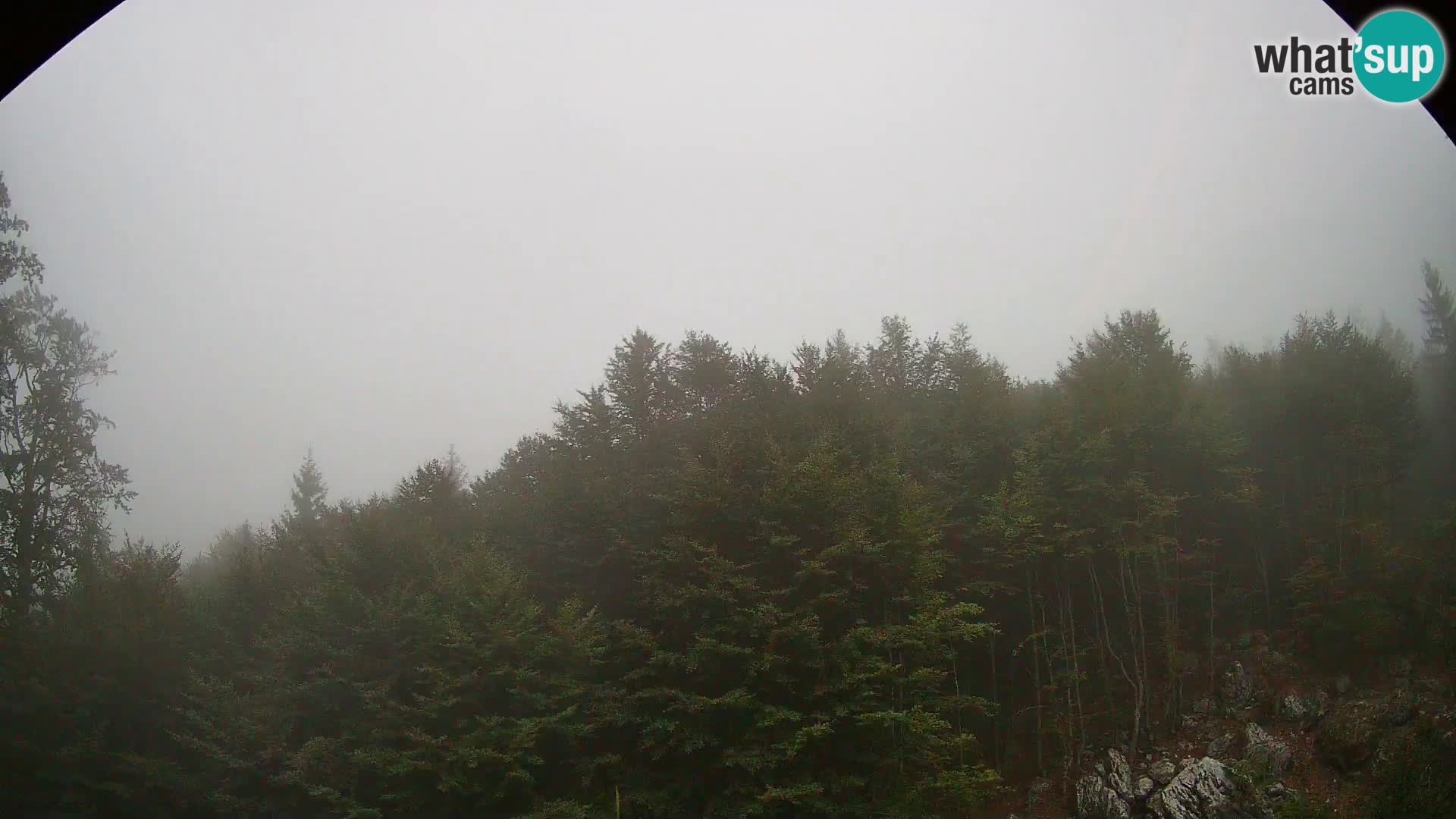 Webcam PLANINA RAZOR (1315) | Blick auf Vogel und Globoko