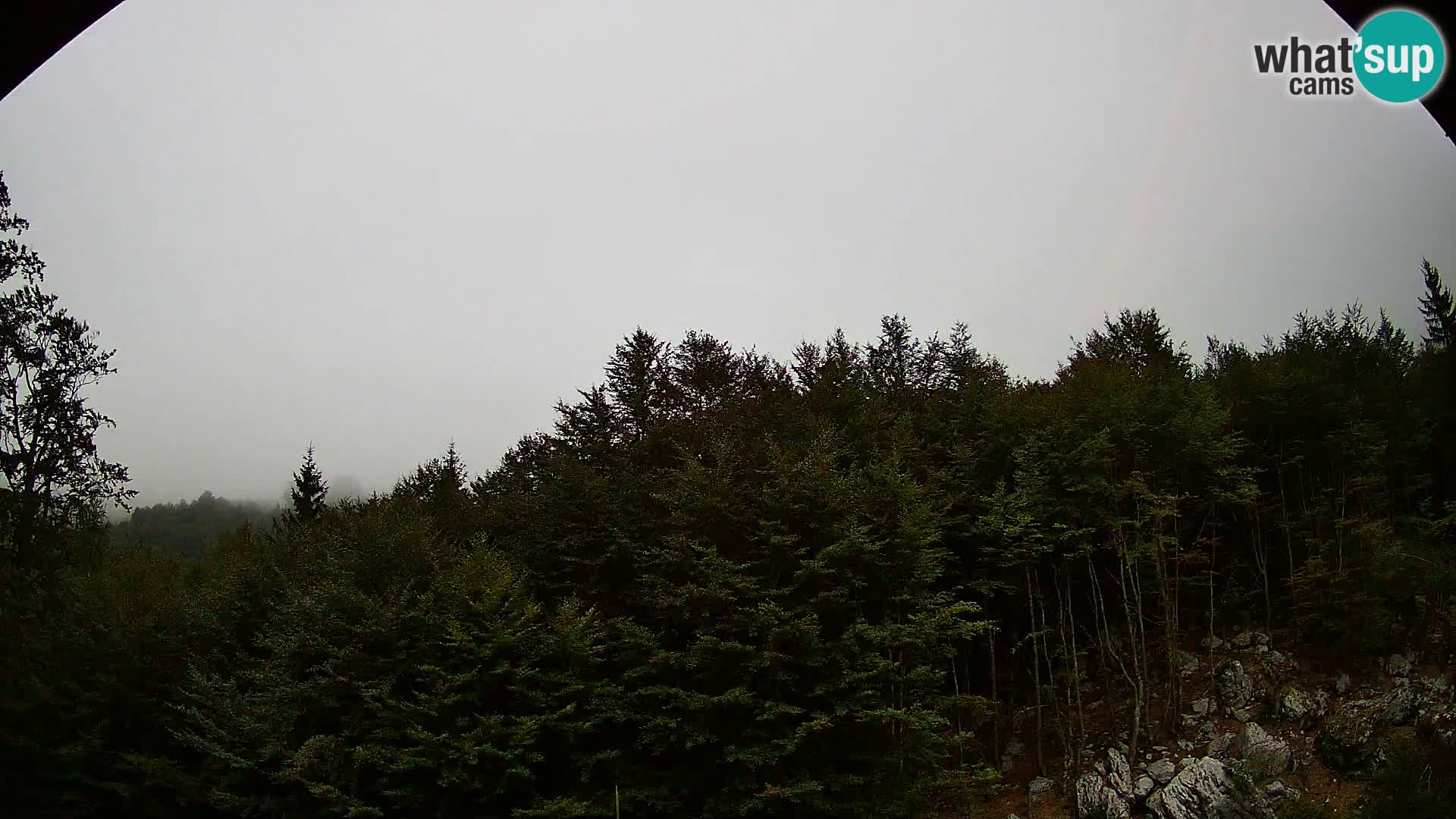 PLANINA RAZOR kamera (1315) | pogled na Vogel in Globoko