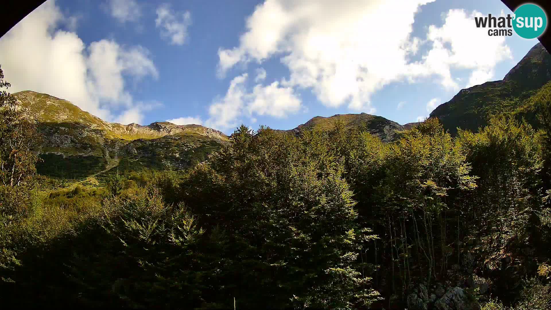Webcam PLANINA RAZOR (1315) | Blick auf Vogel und Globoko