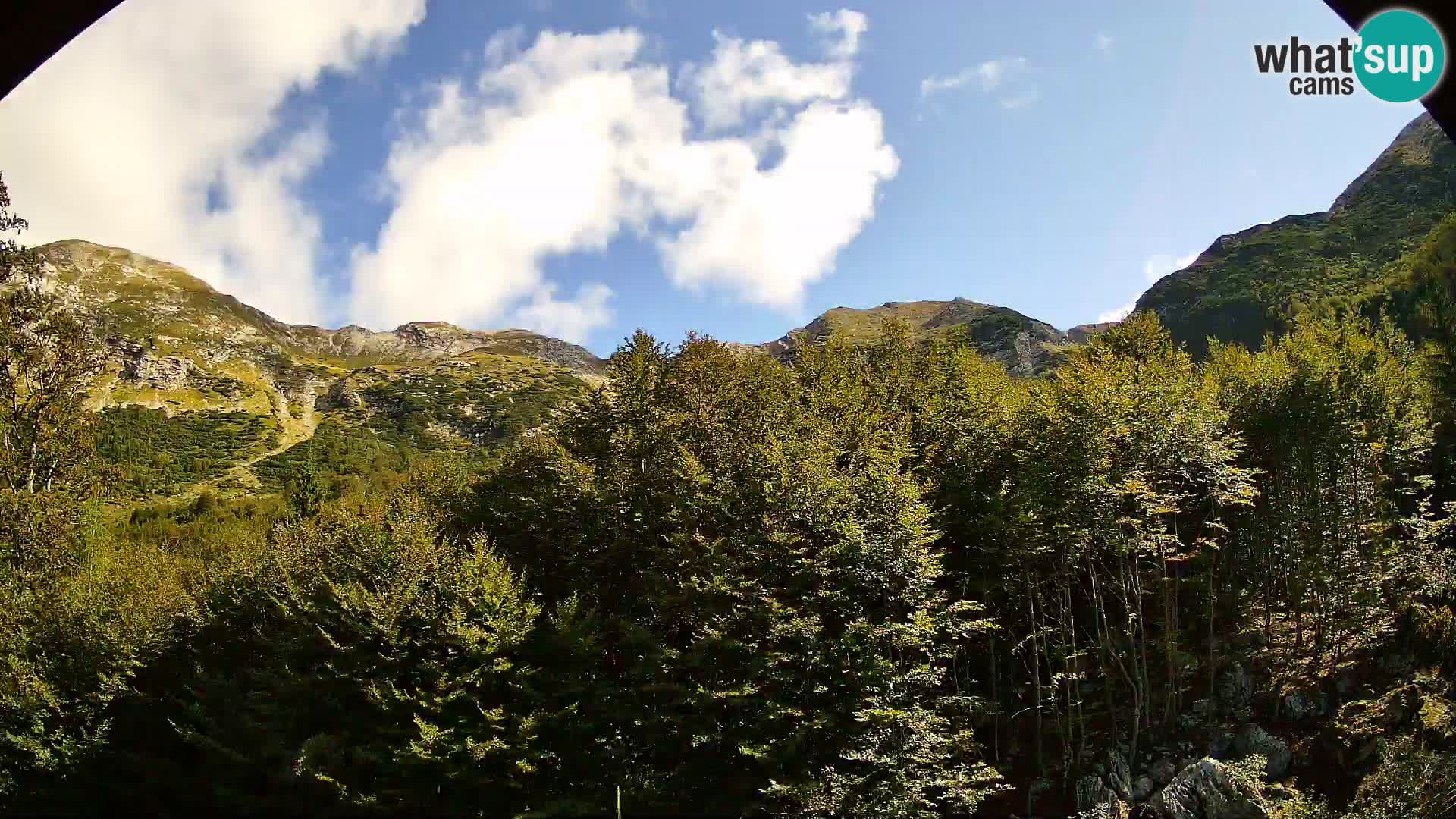 PLANINA RAZOR Live Cam (1315) | vista su Vogel e Globoko