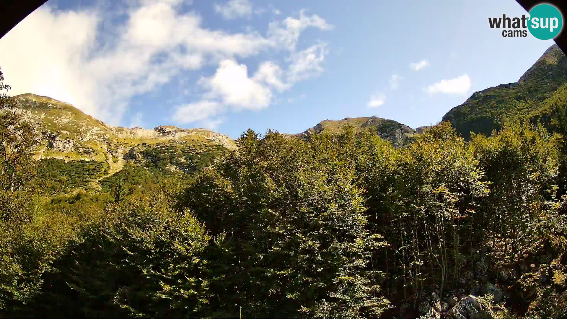 PLANINA RAZOR kamera (1315) | pogled na Vogel in Globoko