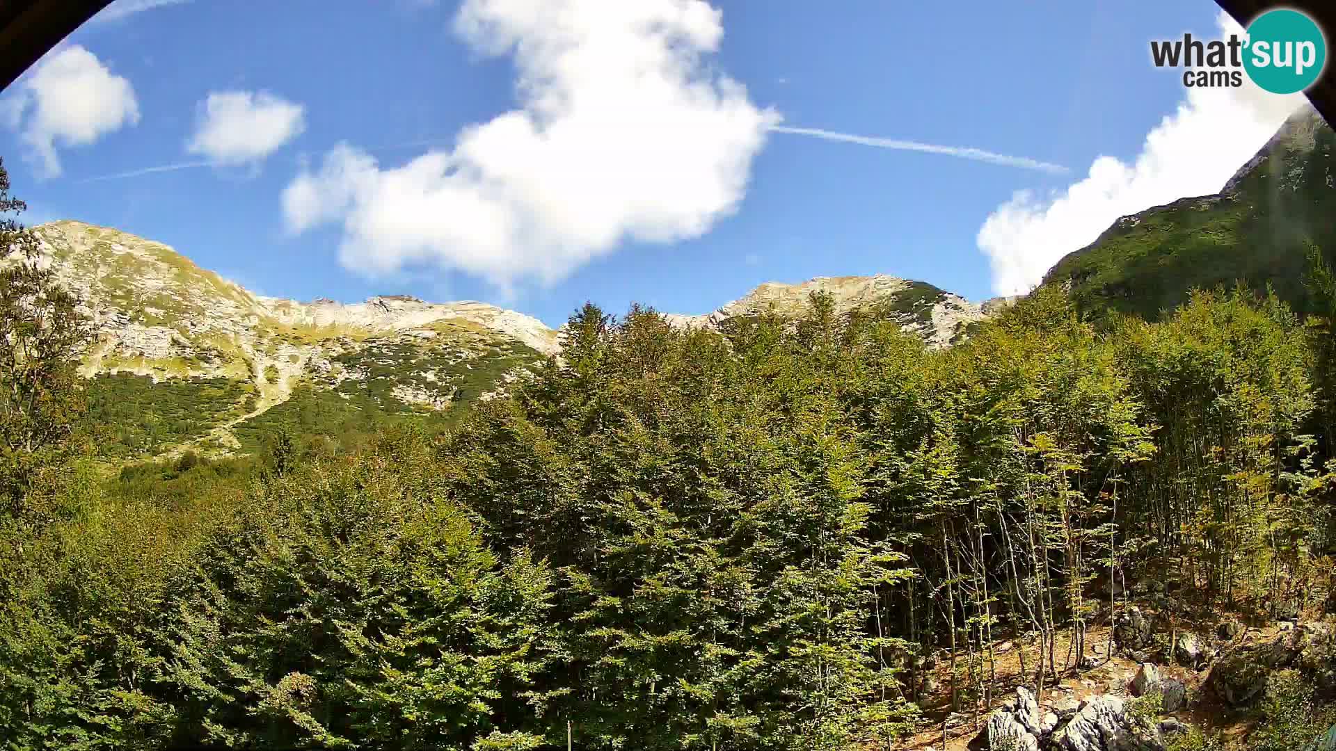 Cámara web PLANINA RAZOR (1315) | vista a Vogel y Globoko
