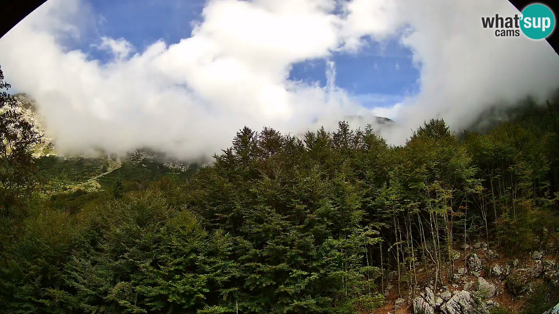 Livecam PLANINA RAZOR (1315) | vue sur Vogel et Globoko