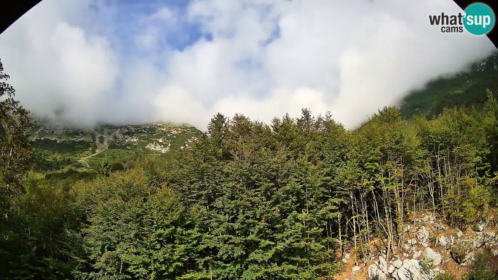 PLANINA RAZOR kamera (1315) | pogled na Vogel in Globoko