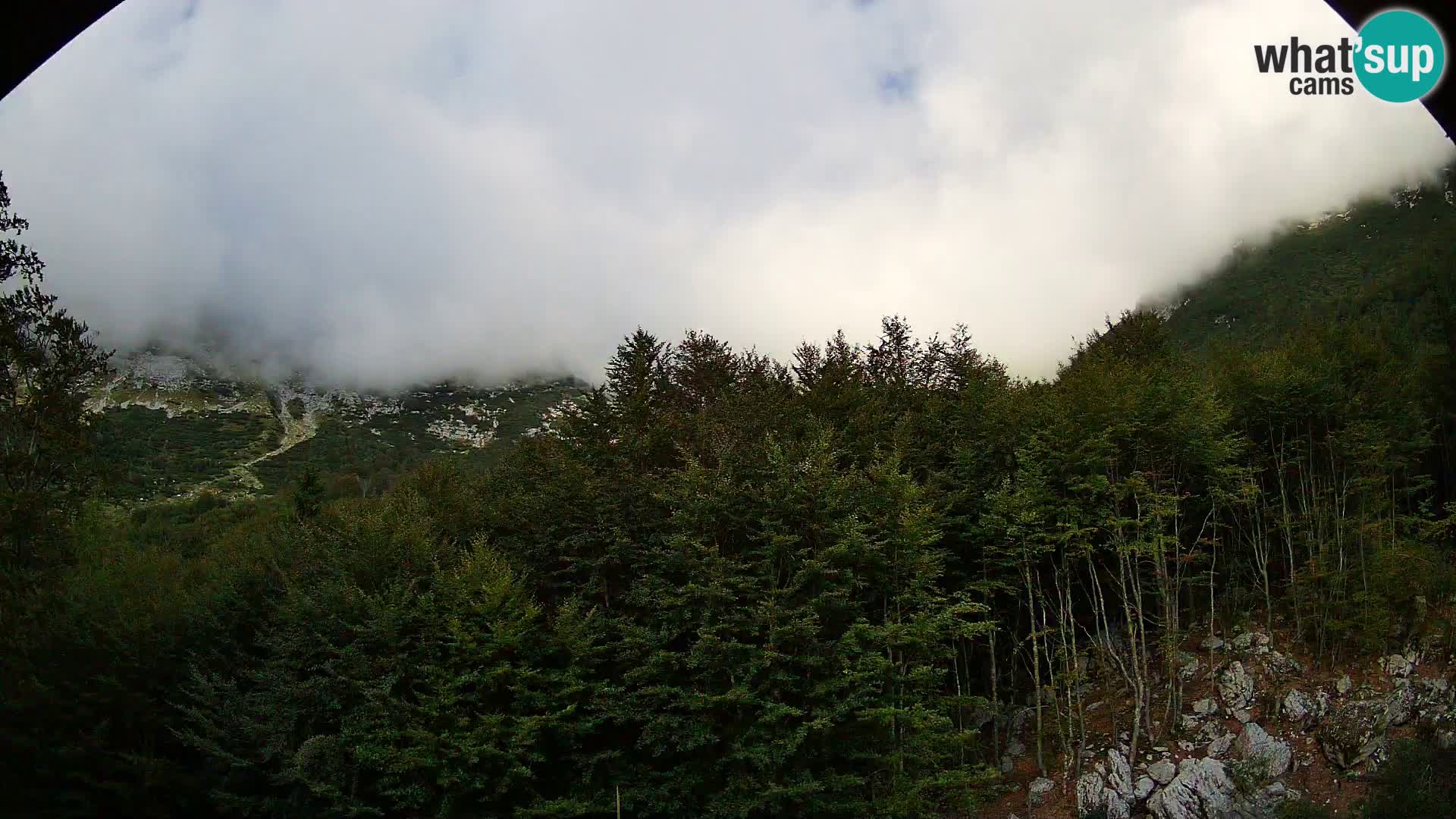 Webcam PLANINA RAZOR (1315) | Blick auf Vogel und Globoko