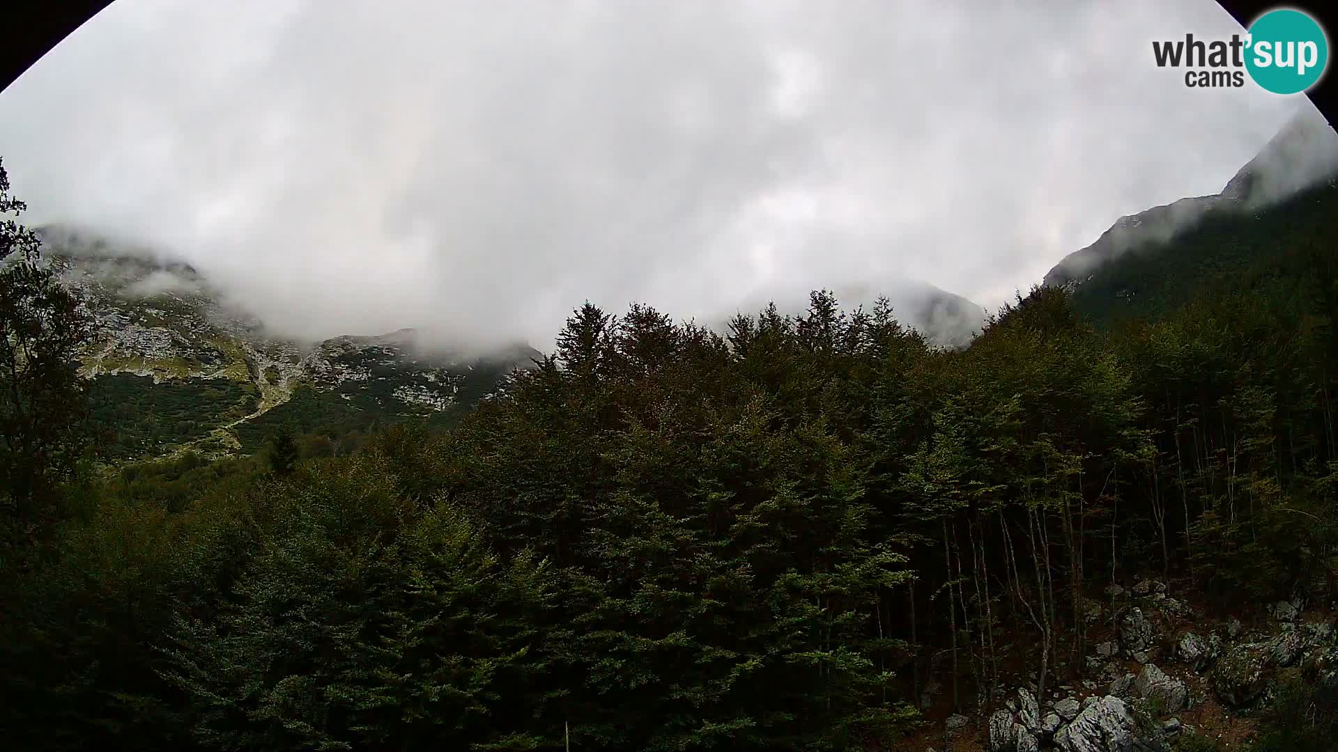 Livecam PLANINA RAZOR (1315) | vue sur Vogel et Globoko