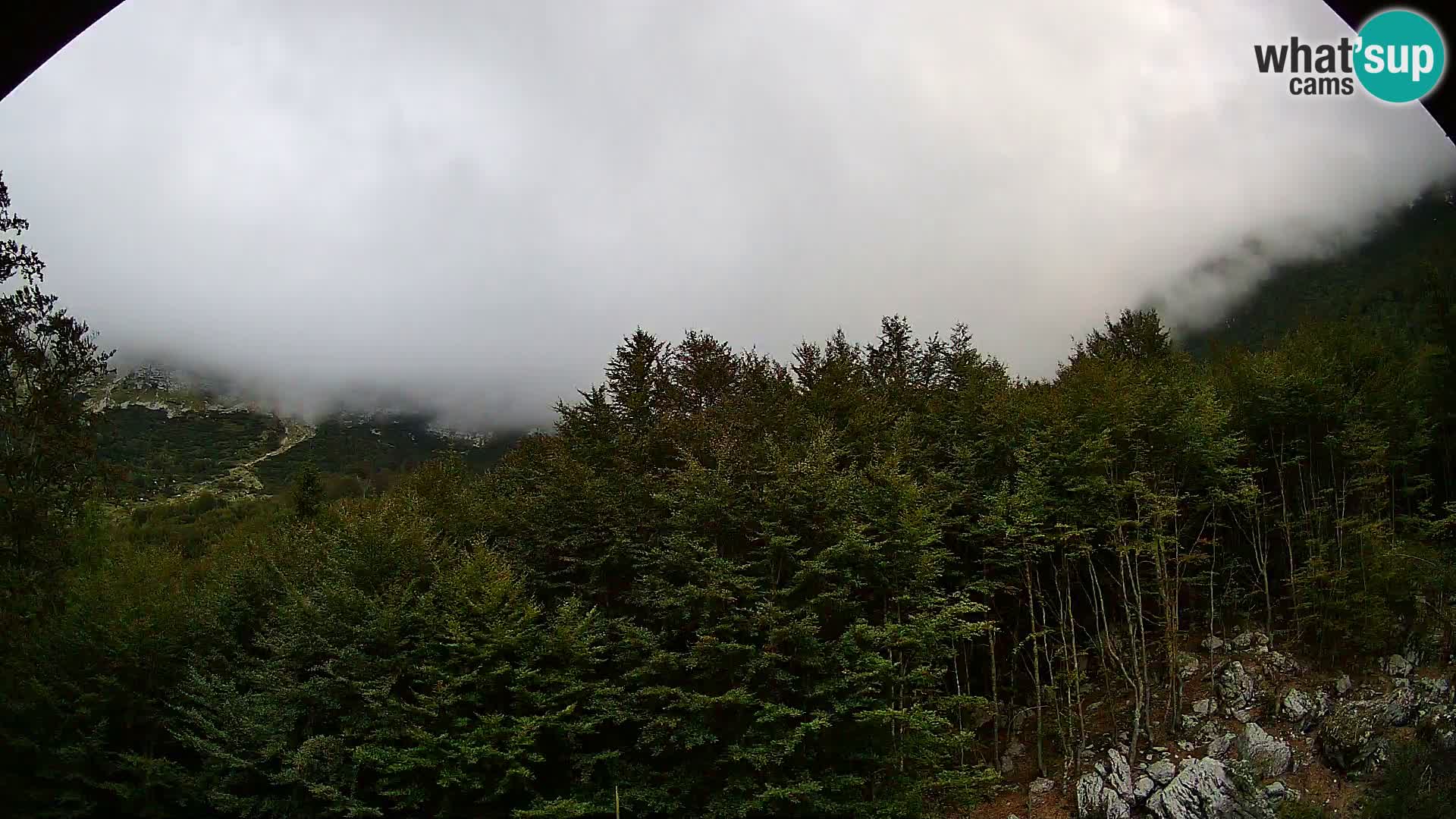 Livecam PLANINA RAZOR (1315) | vue sur Vogel et Globoko
