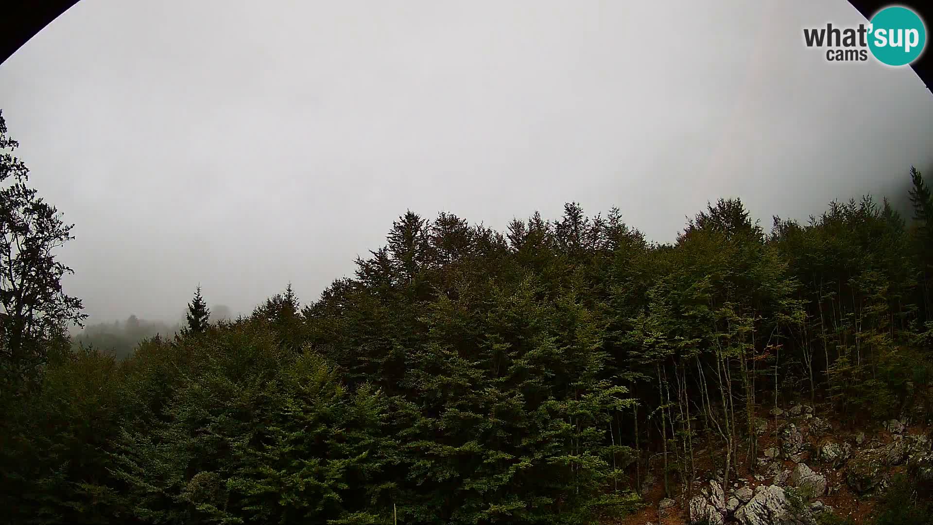 PLANINA RAZOR Live Cam (1315) | vista su Vogel e Globoko