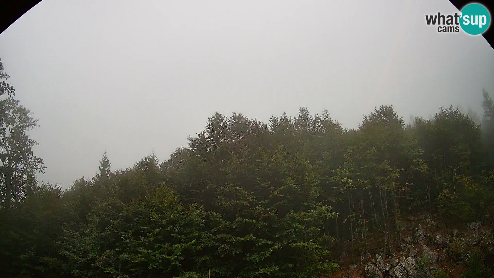 PLANINA RAZOR kamera (1315) | pogled na Vogel in Globoko